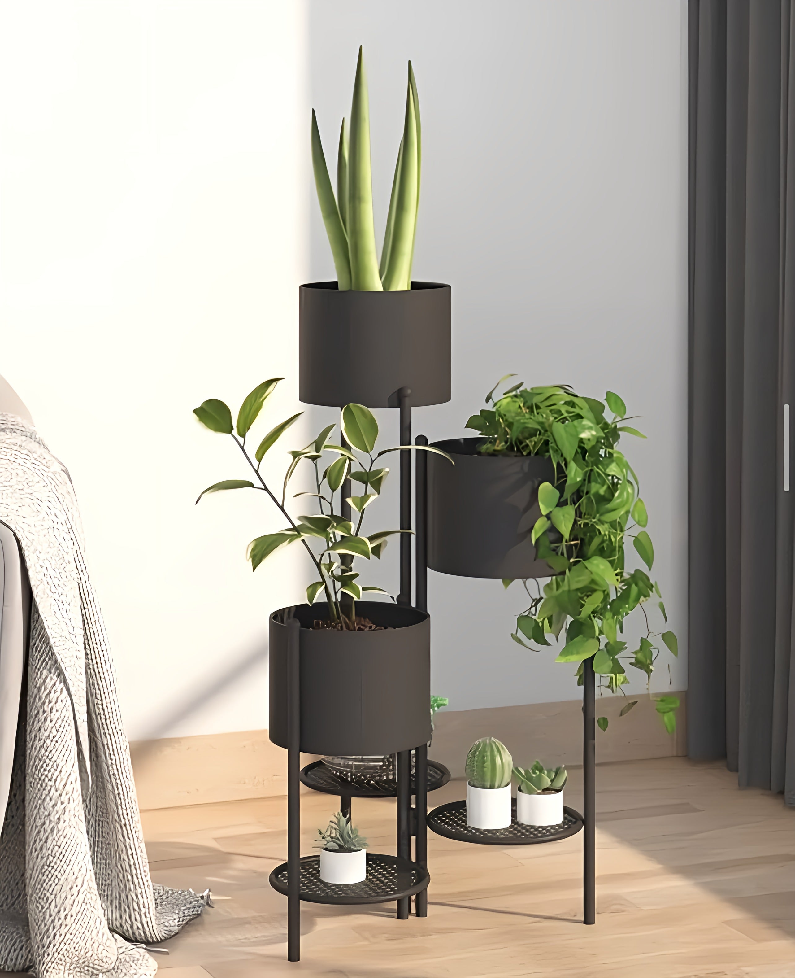 Modern Plant Pots