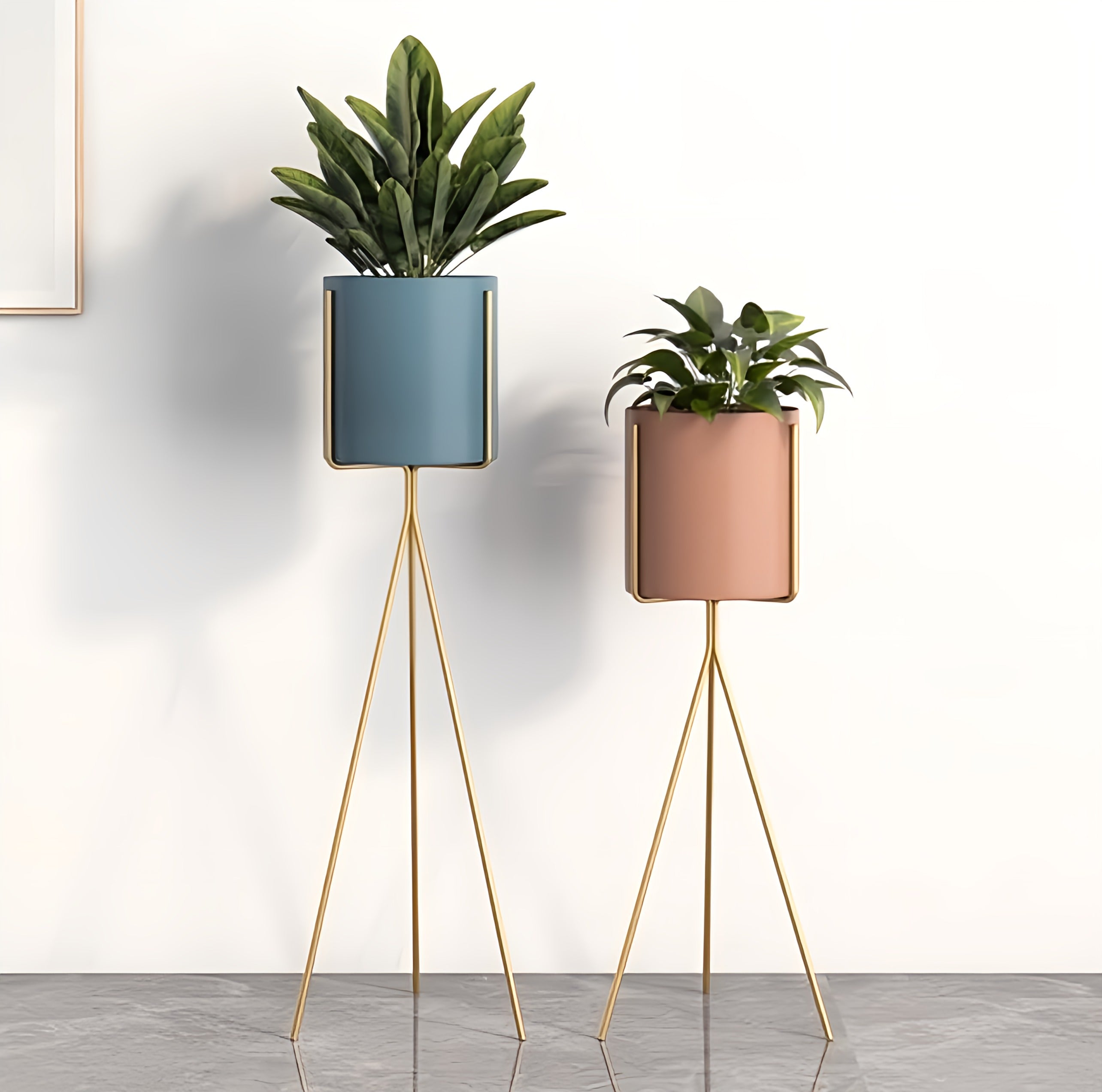 Plant Pots