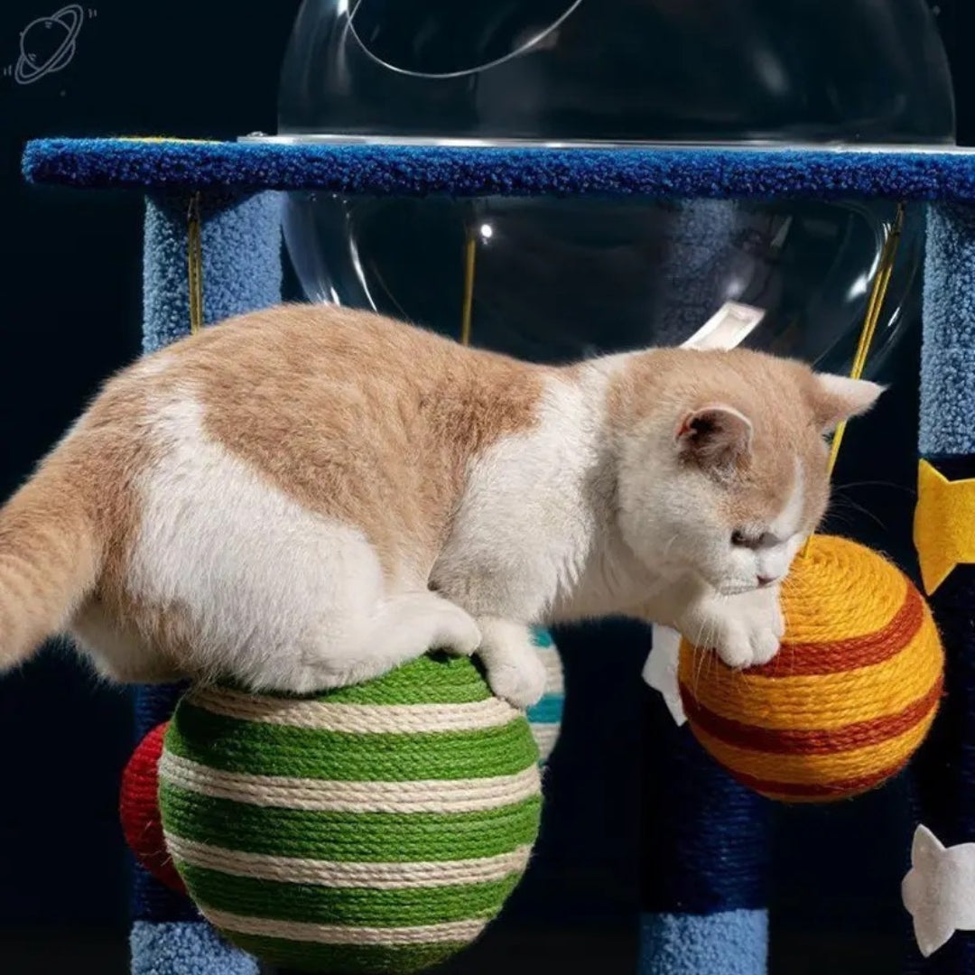 Cats Planet Scratching Tree