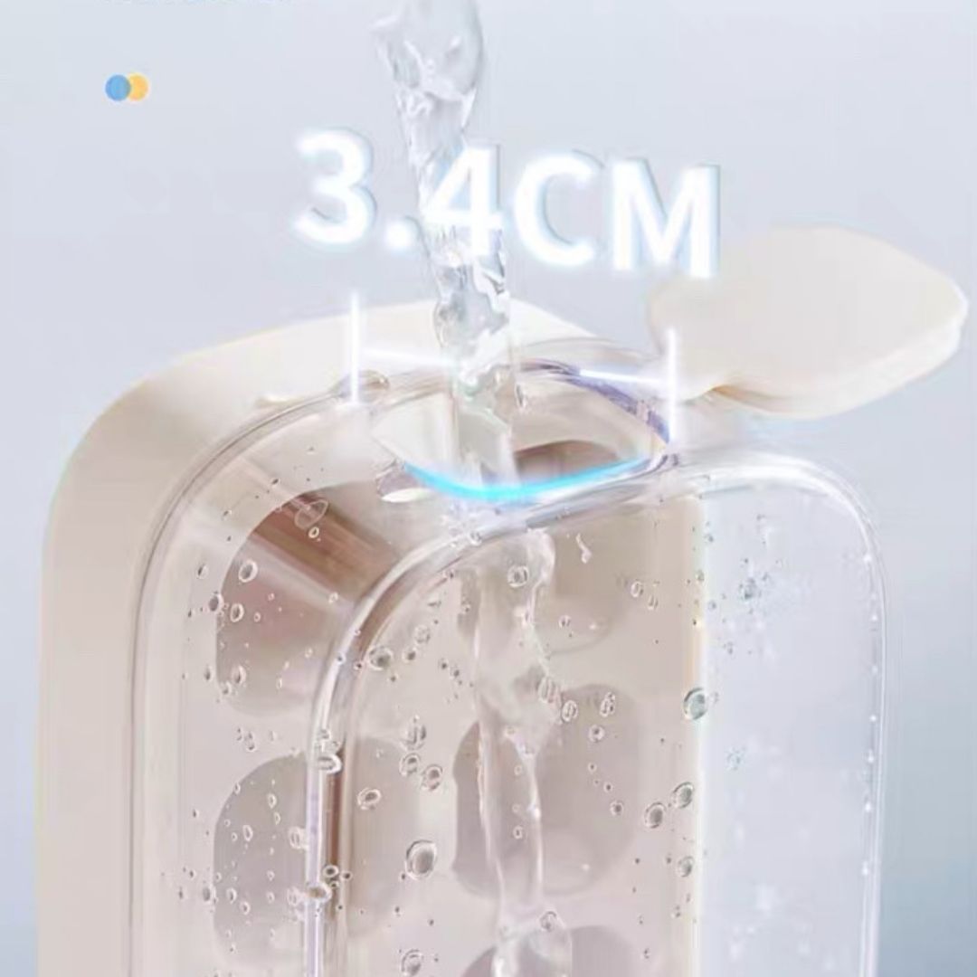 Ecoco One Press Ice Mold