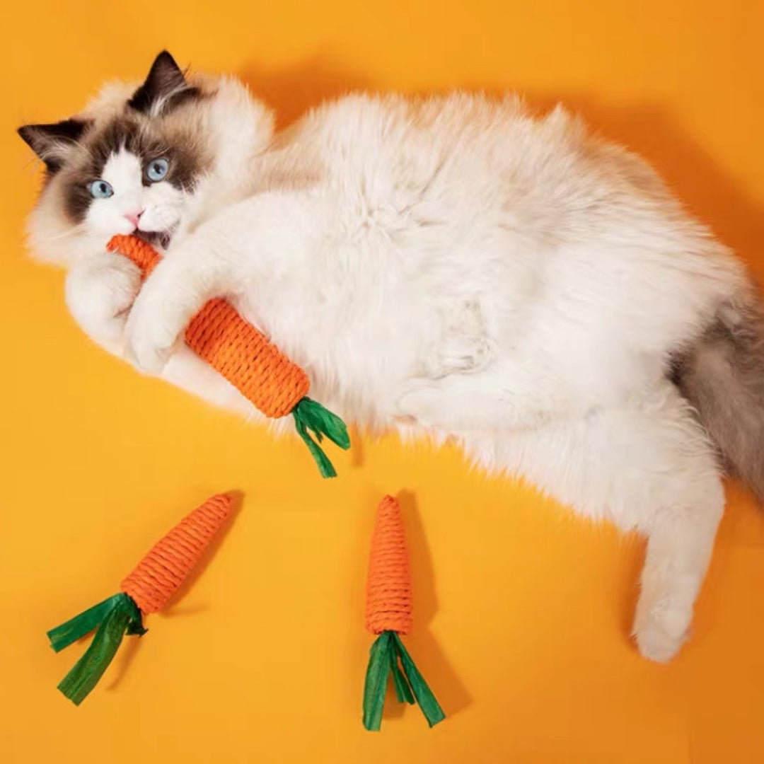 Cat Carrot Toy + Tunnel Bag