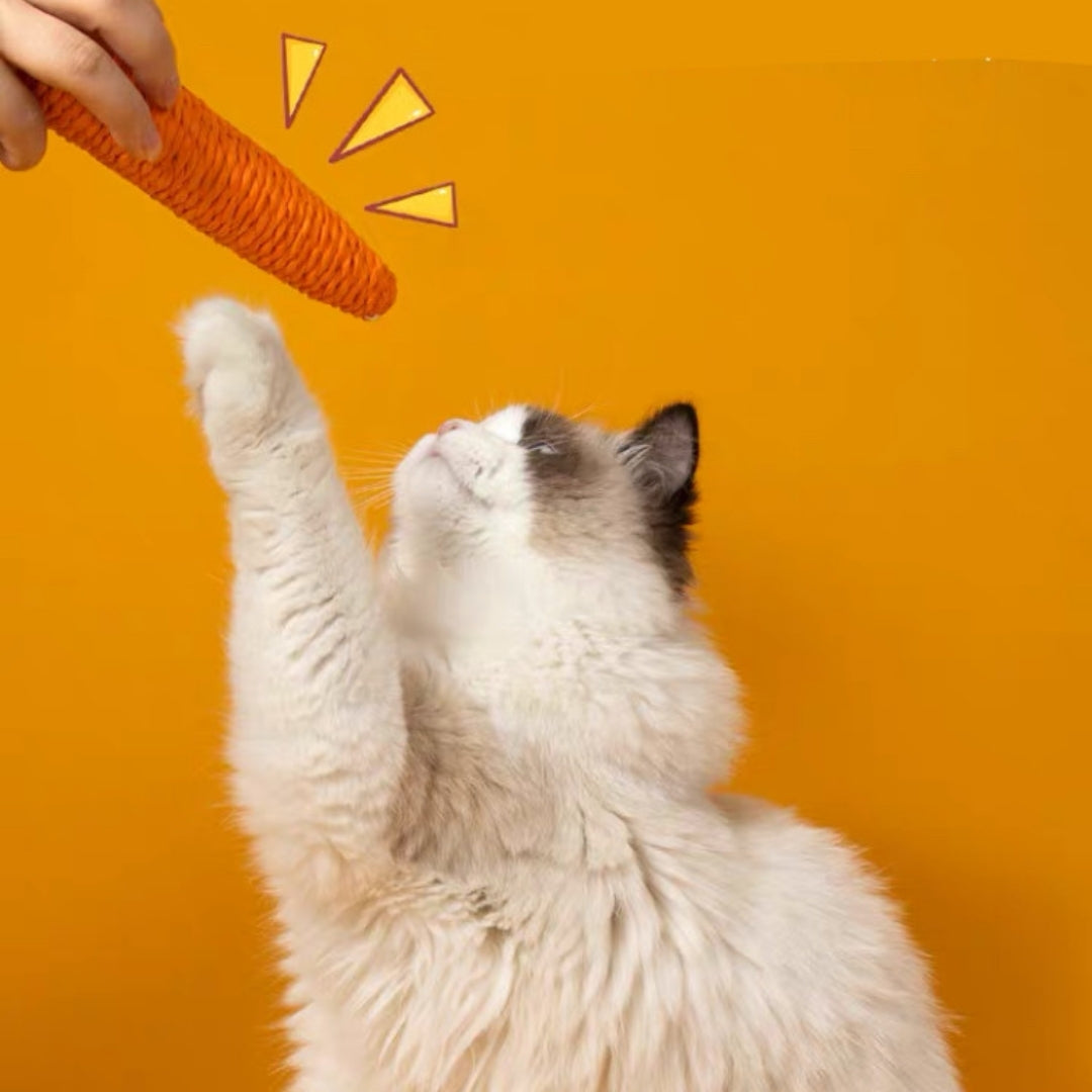 Cat Carrot Toy + Tunnel Bag