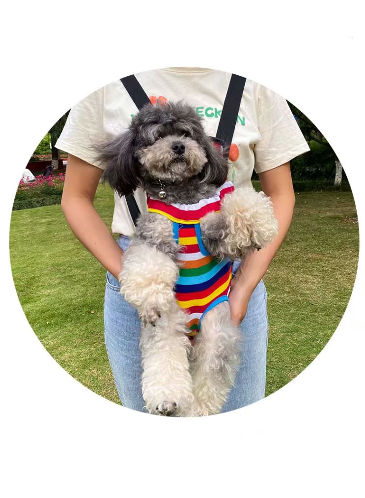 Comfy & Breathable Pet Backpack