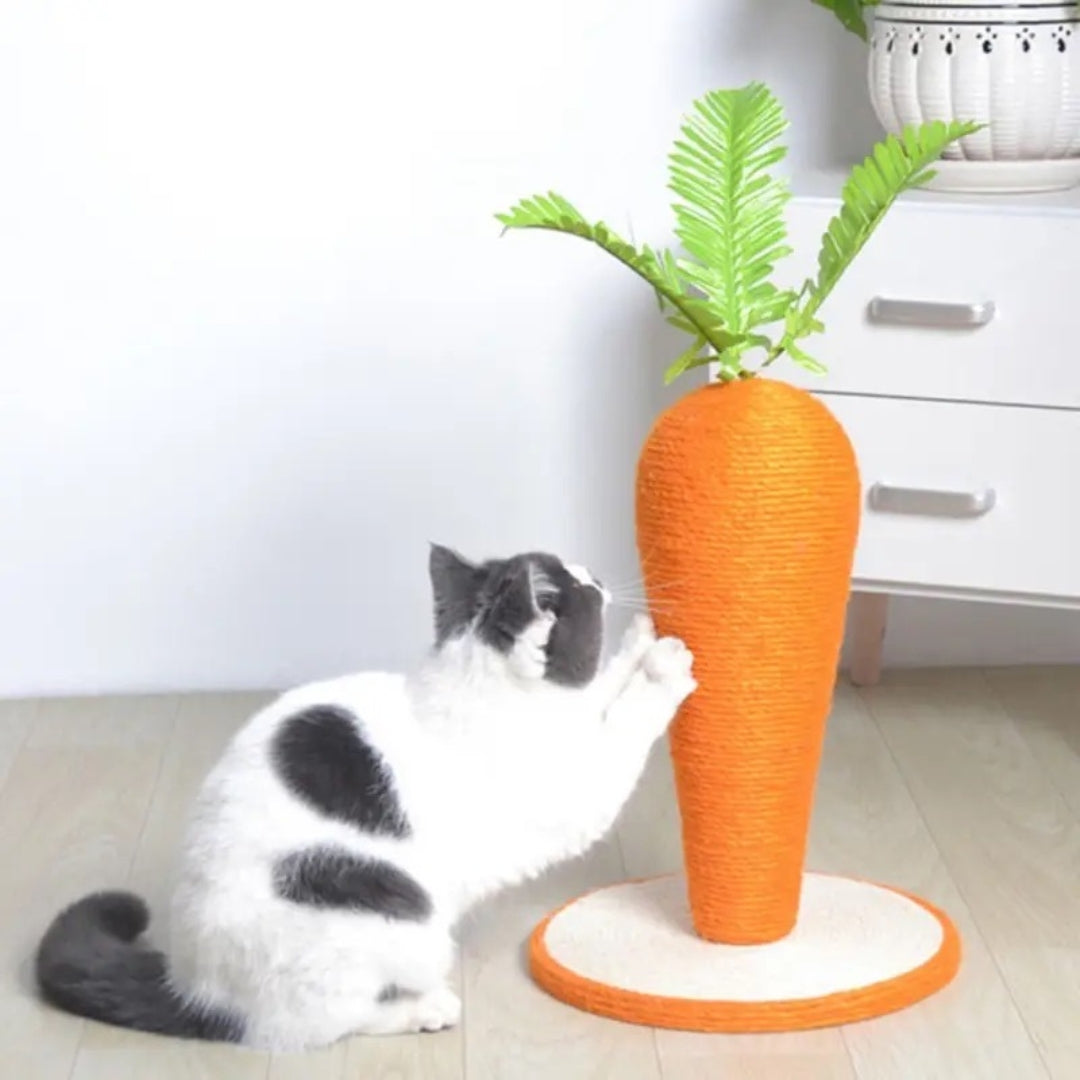 Carrot Scratching Post