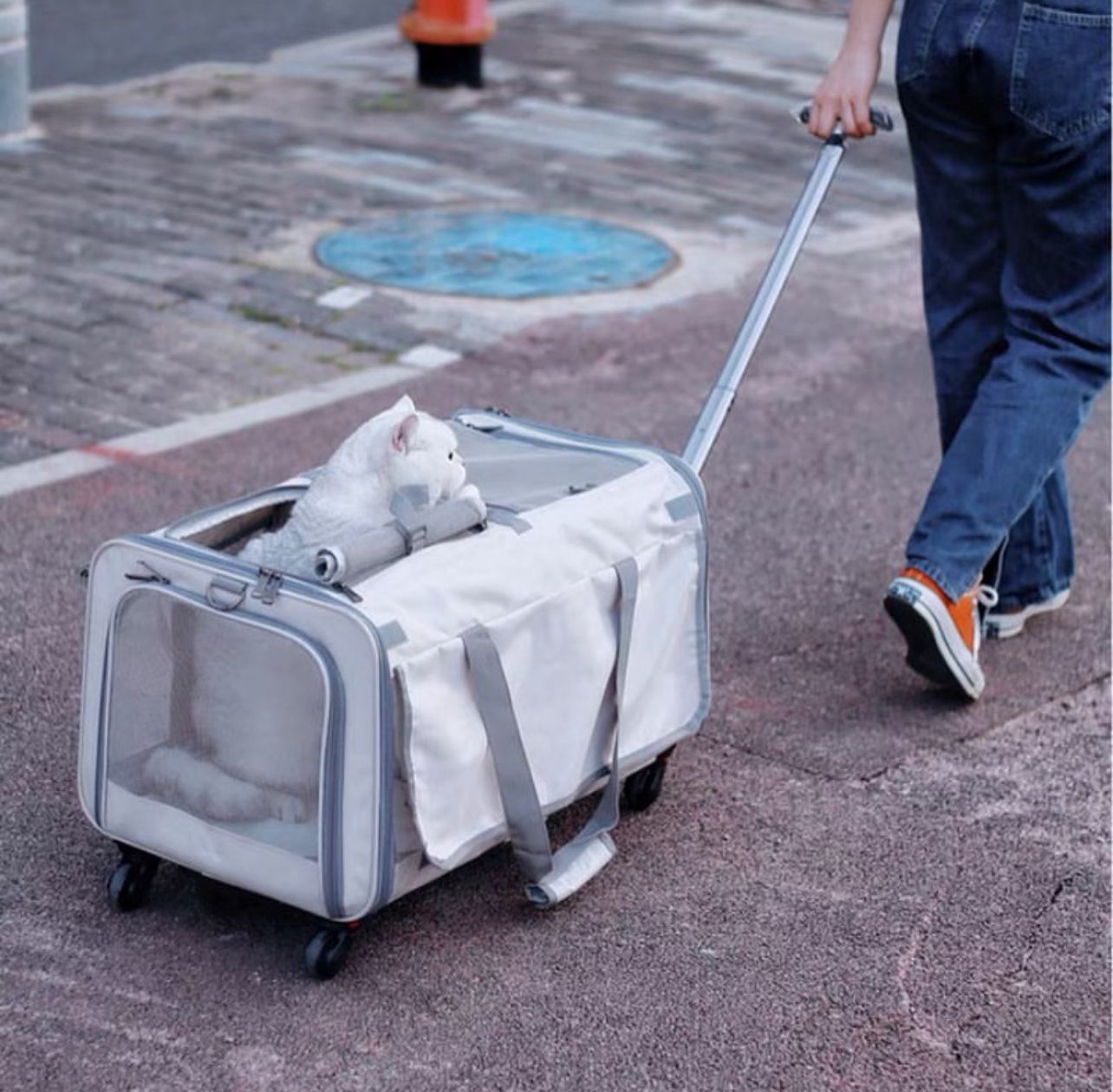 Pet Trolley Suitcase
