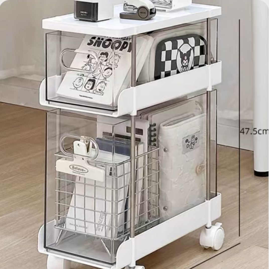 The storage cabinet organizer