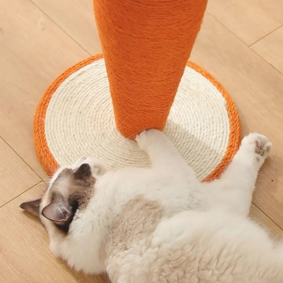 Carrot Scratching Post