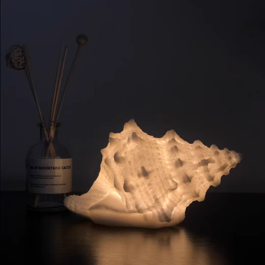 Coquille table lamp
