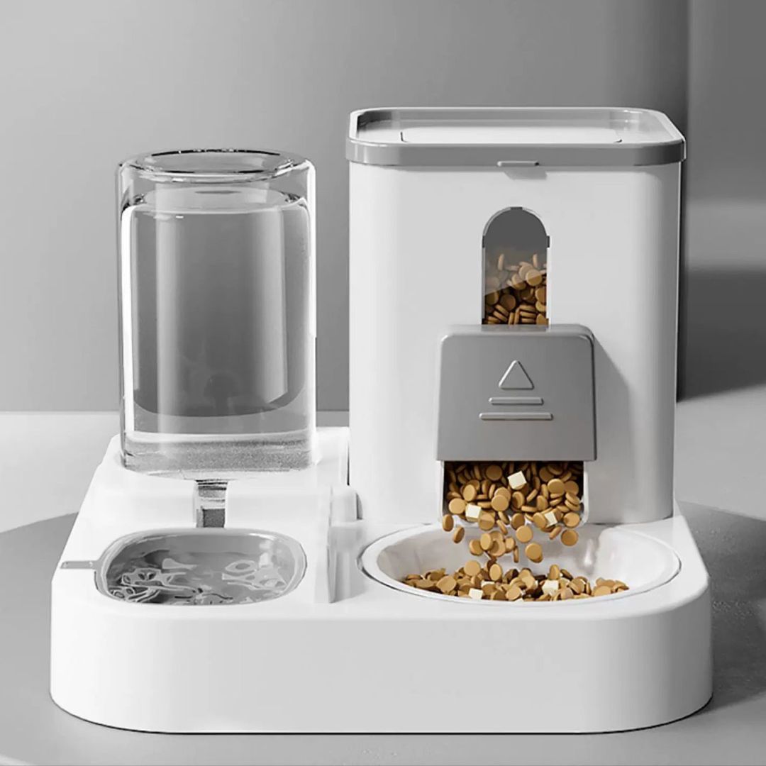 Food and water dispenser