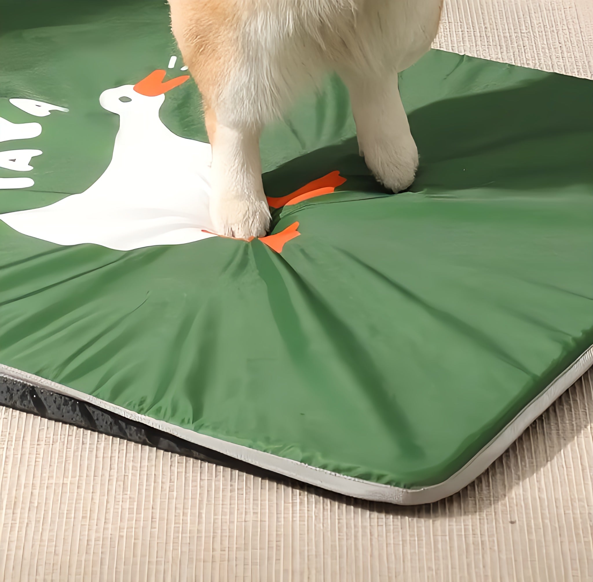 Summer Cooling Dog Mat