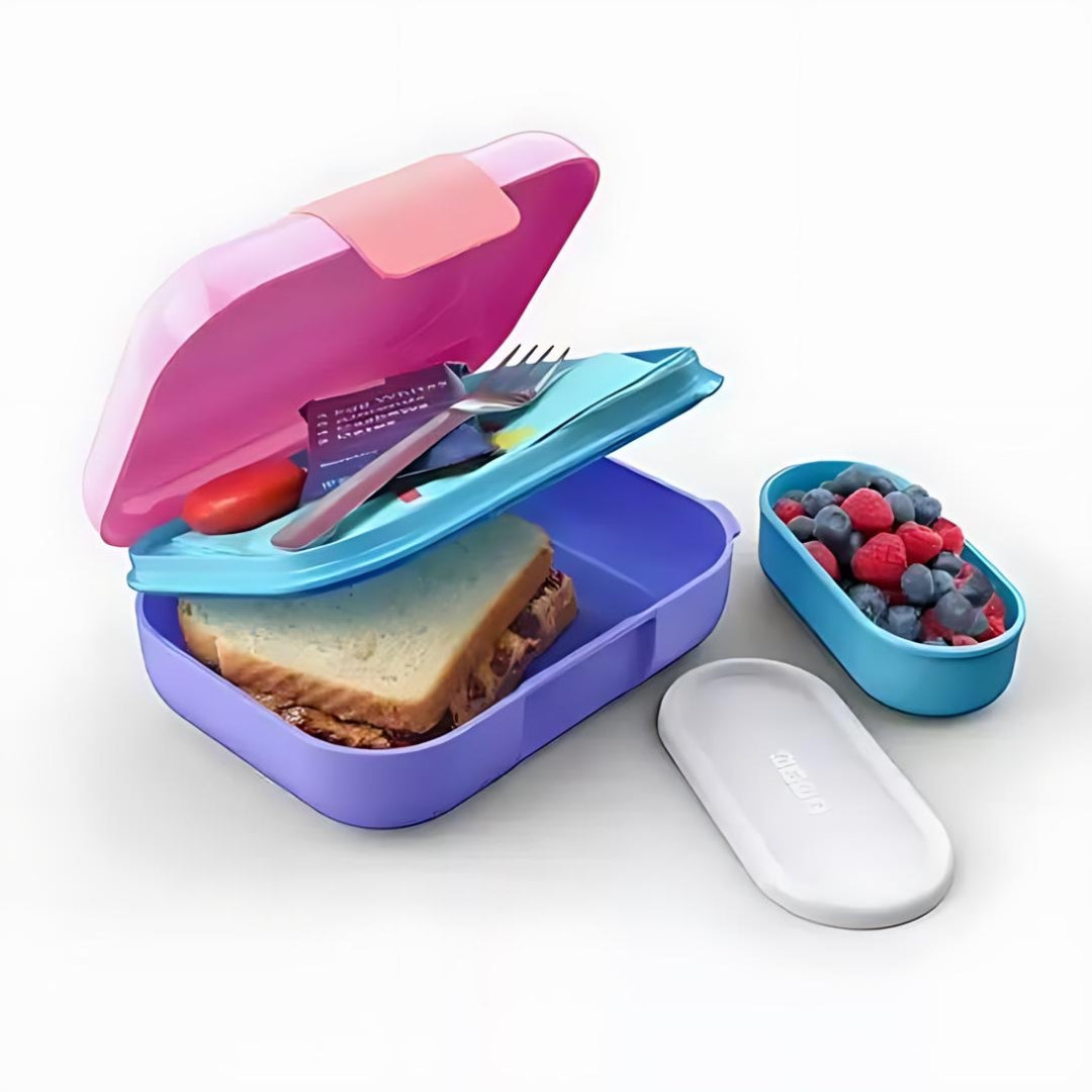 The Divided Lunch Box