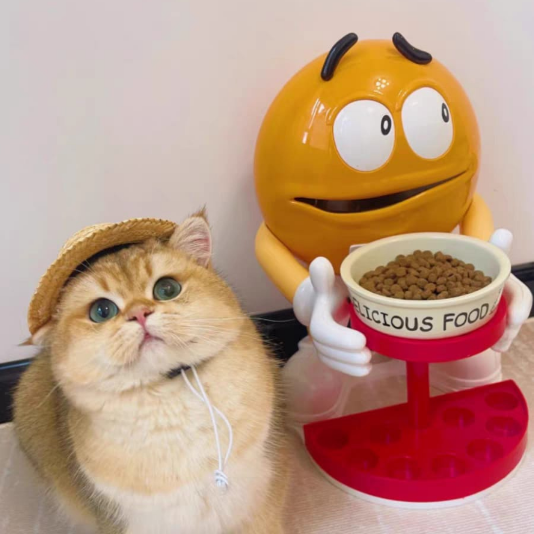 M&M dogs and cats food bowl