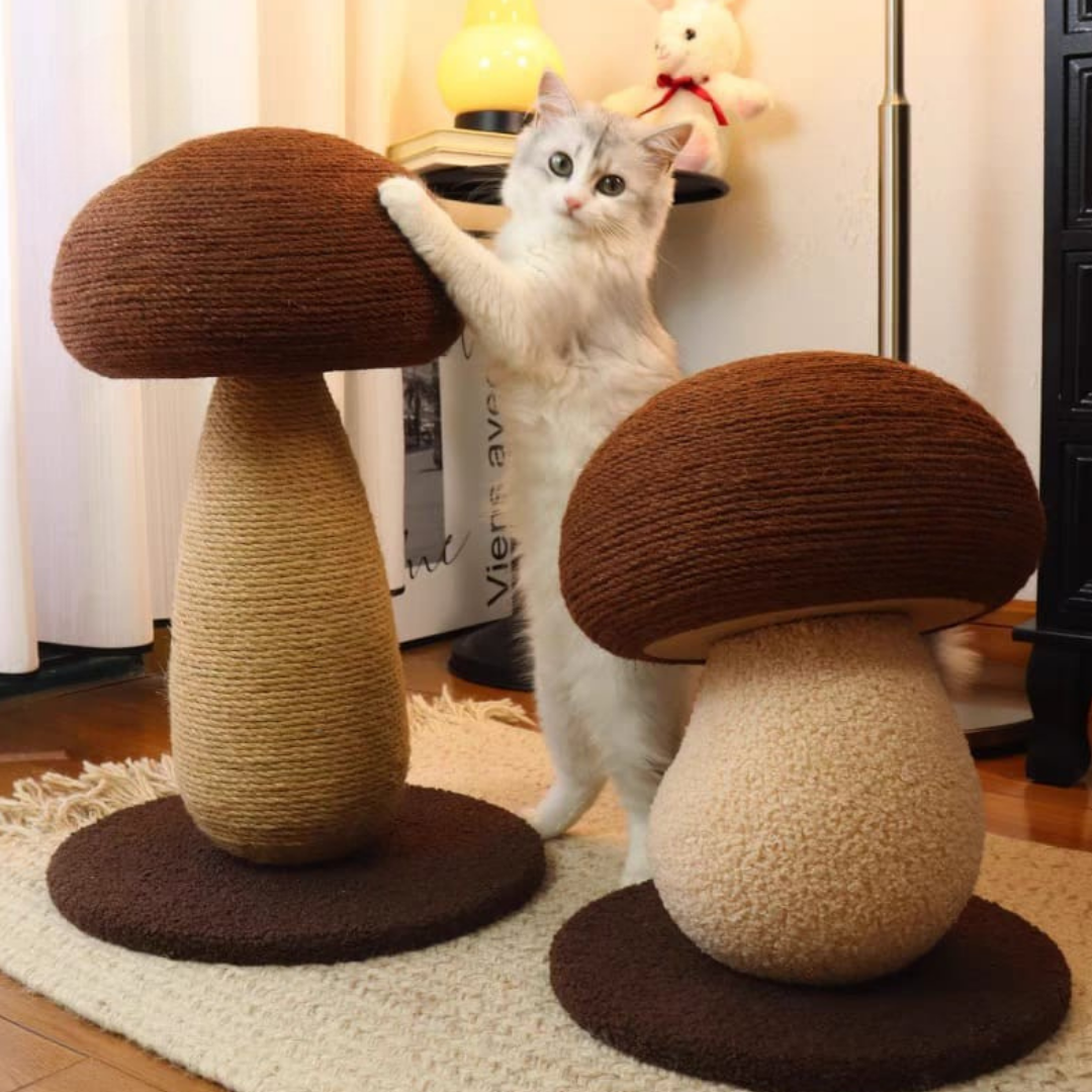 Caty cat scratcher