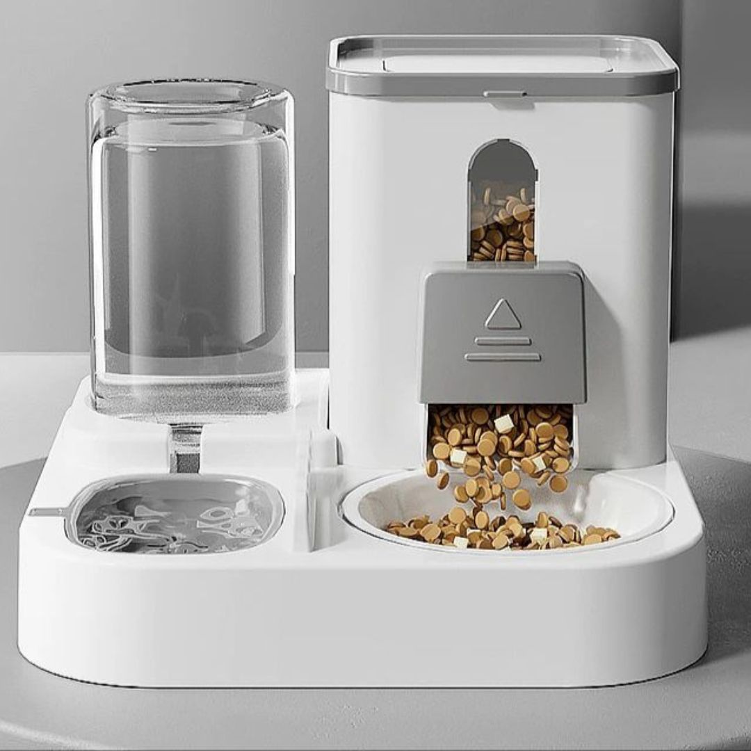 Food and water dispenser