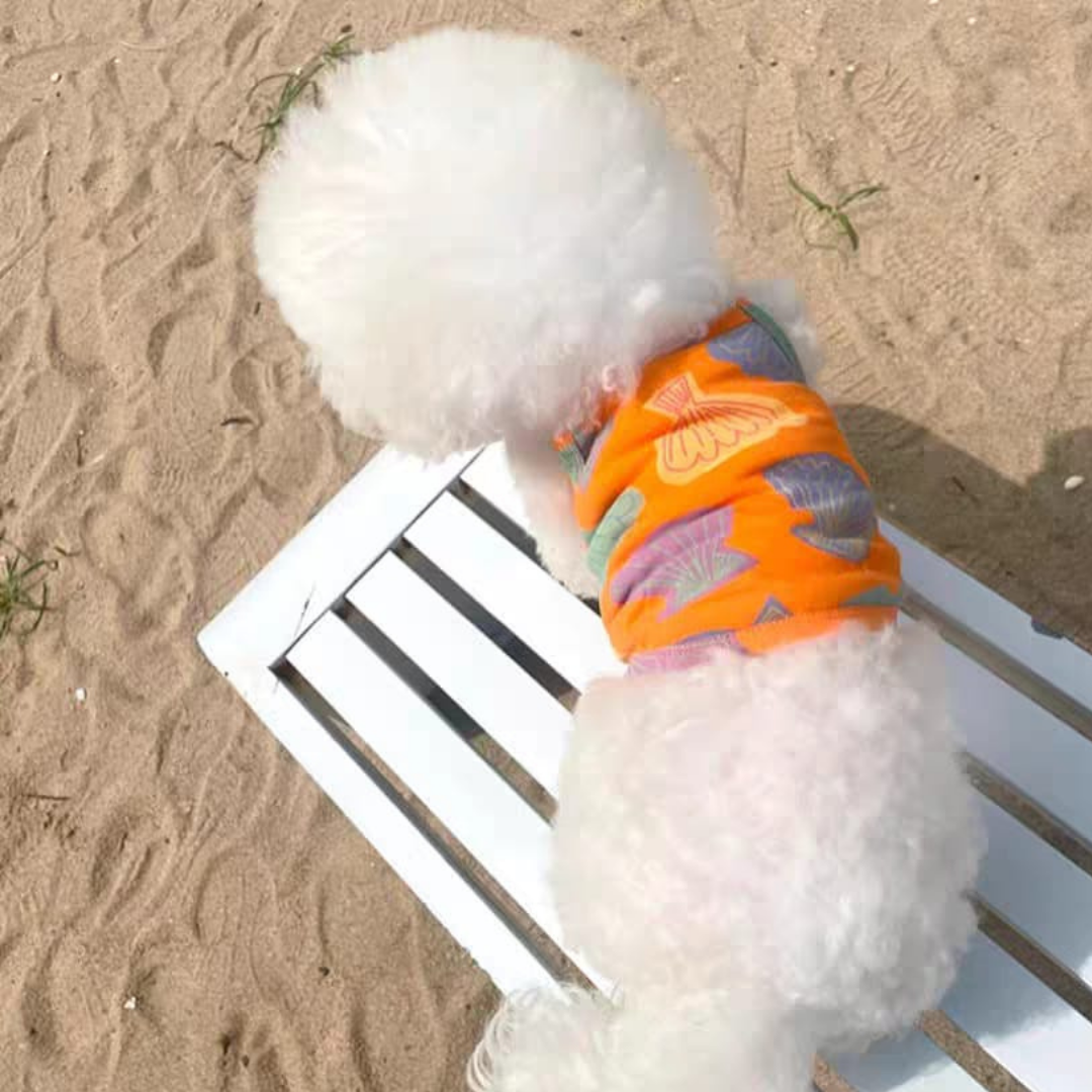 Let's summer dog clothes