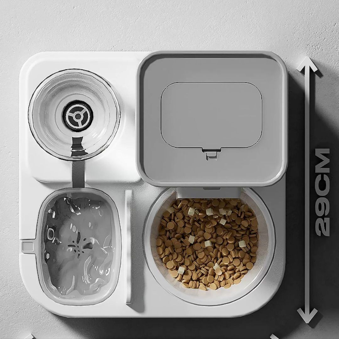 Food and water dispenser