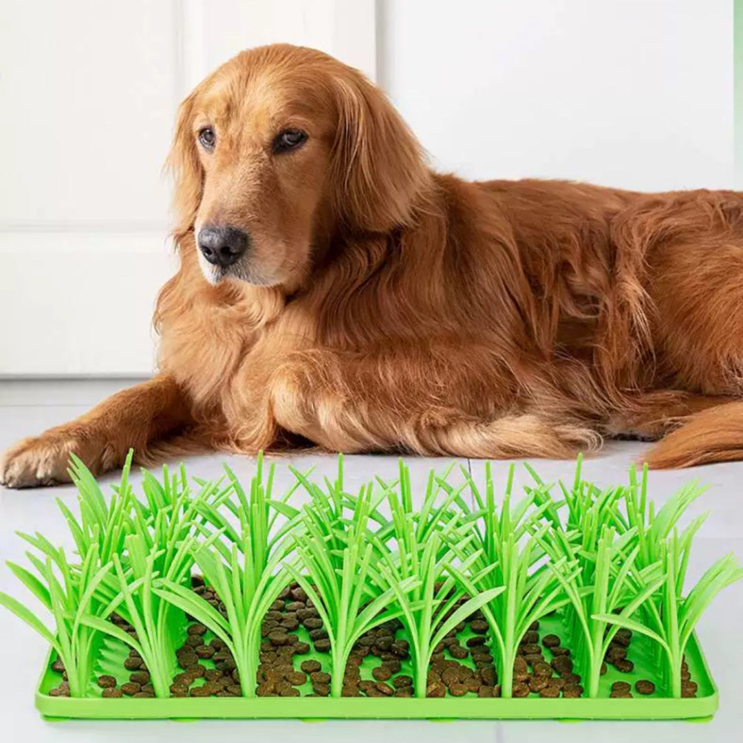 Slow-Eating Gras Mat