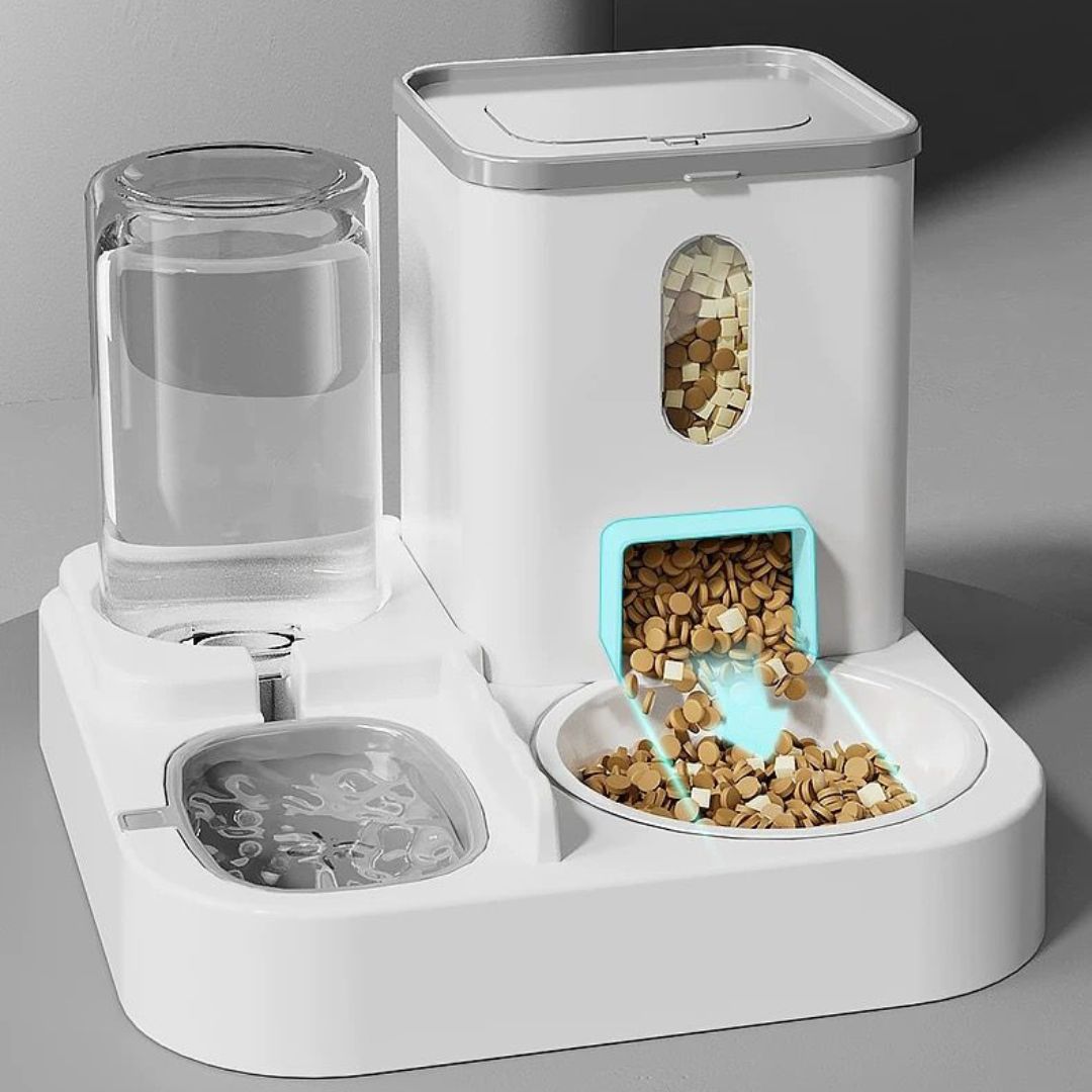 Food and water dispenser