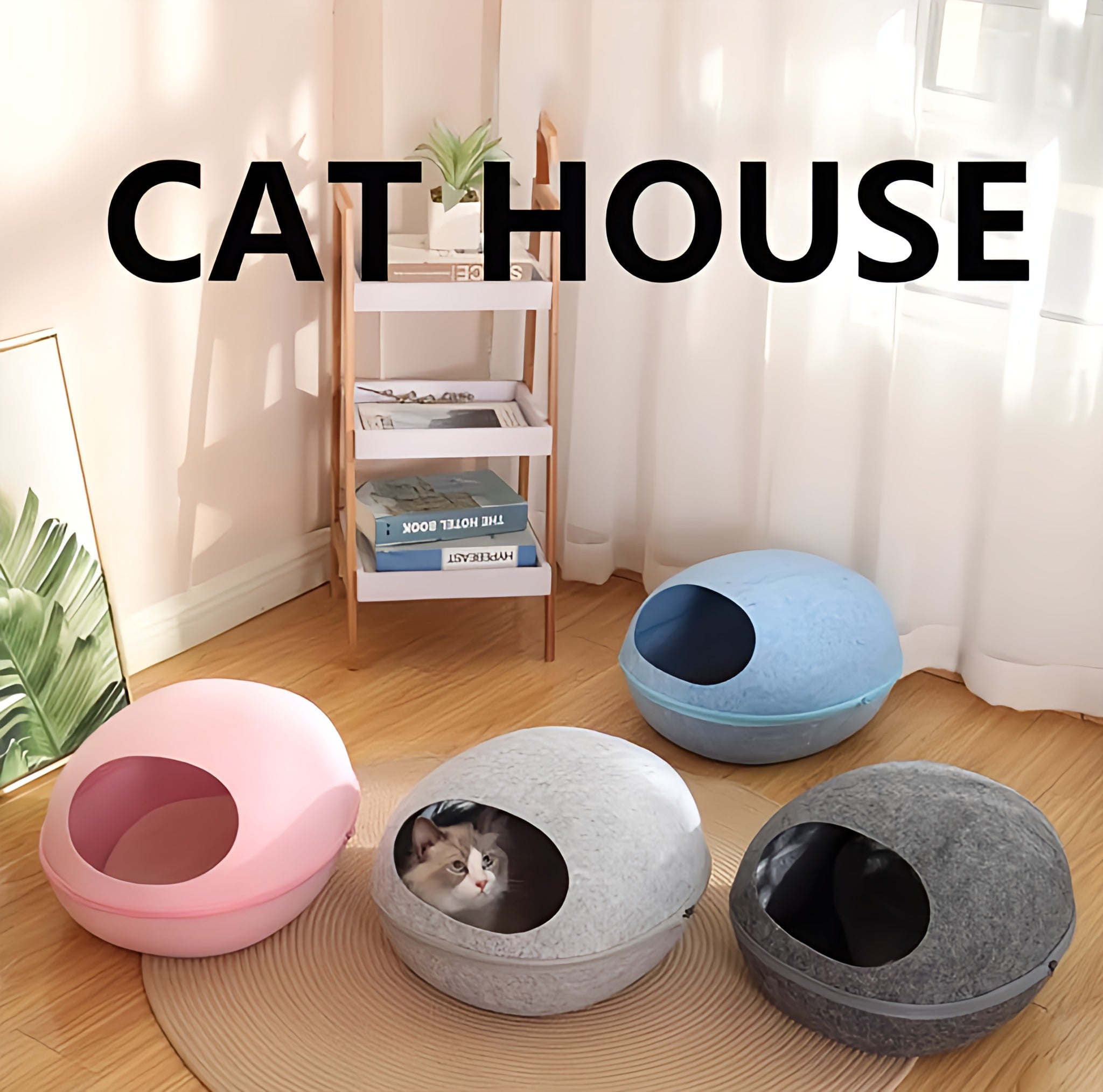 Cat House