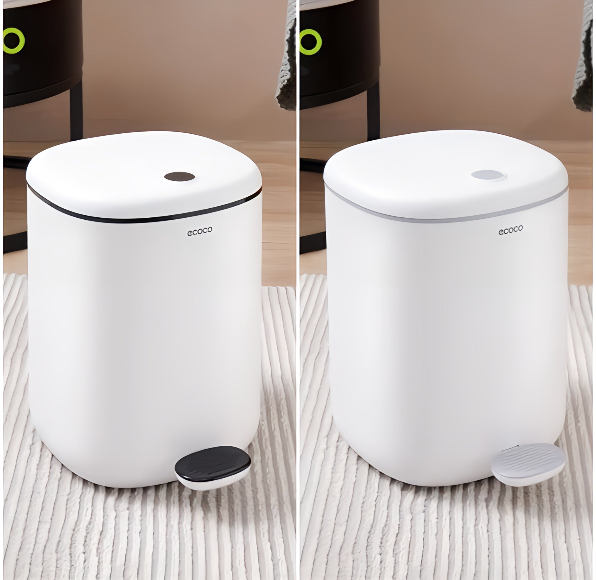 Ecoco Trash Can