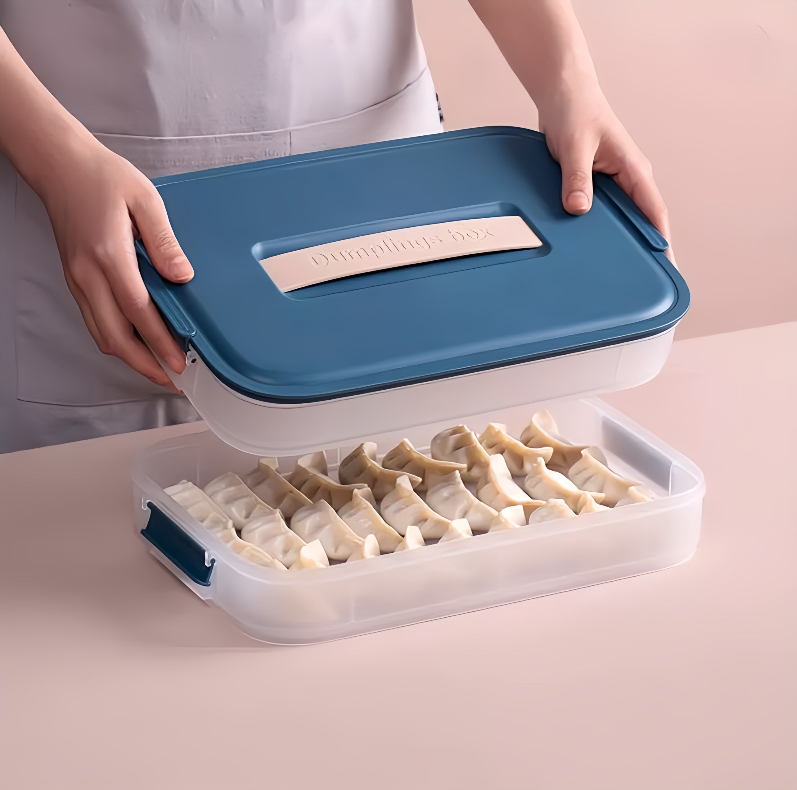 Refrigerator Food Storage Box