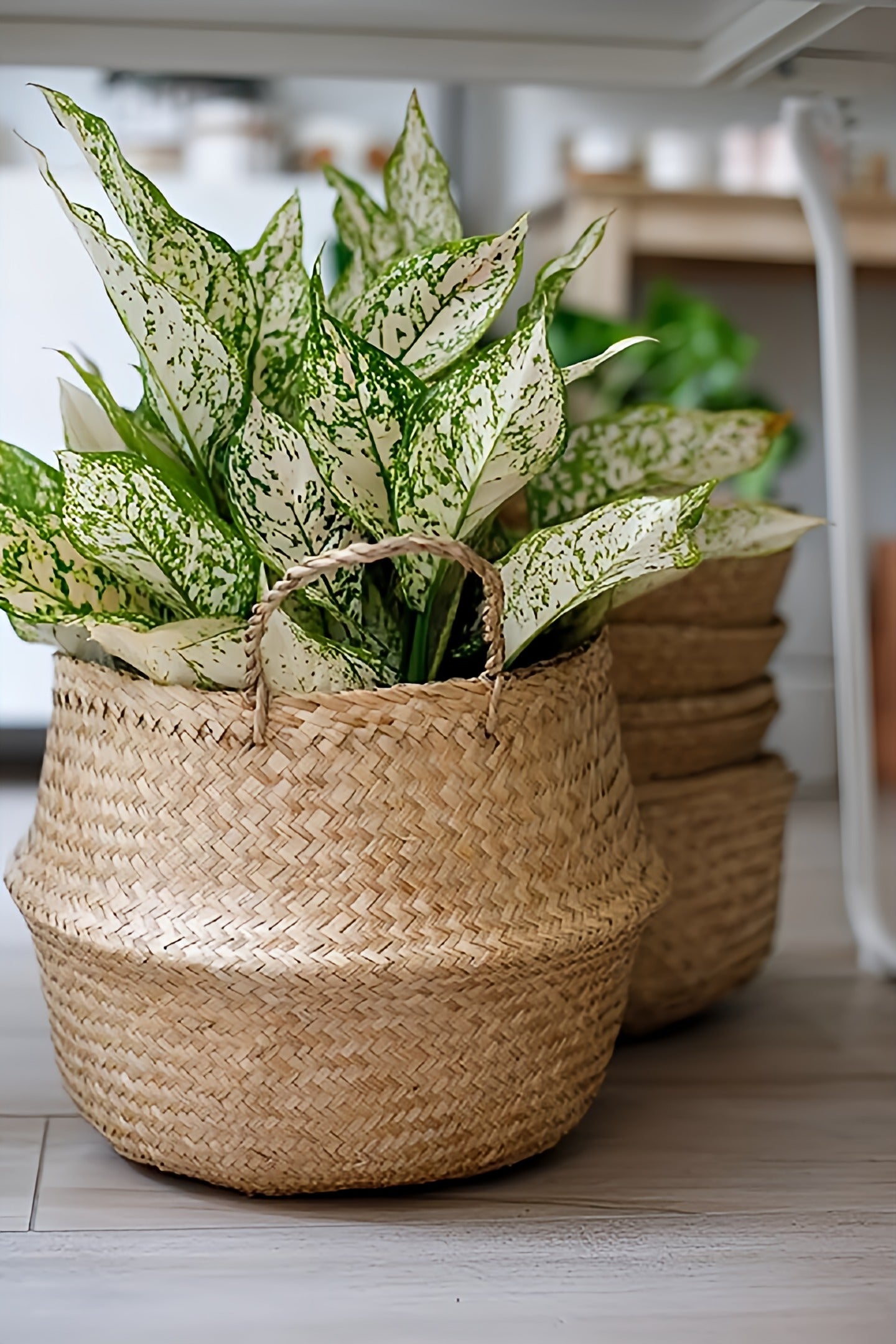 Foldable Basket