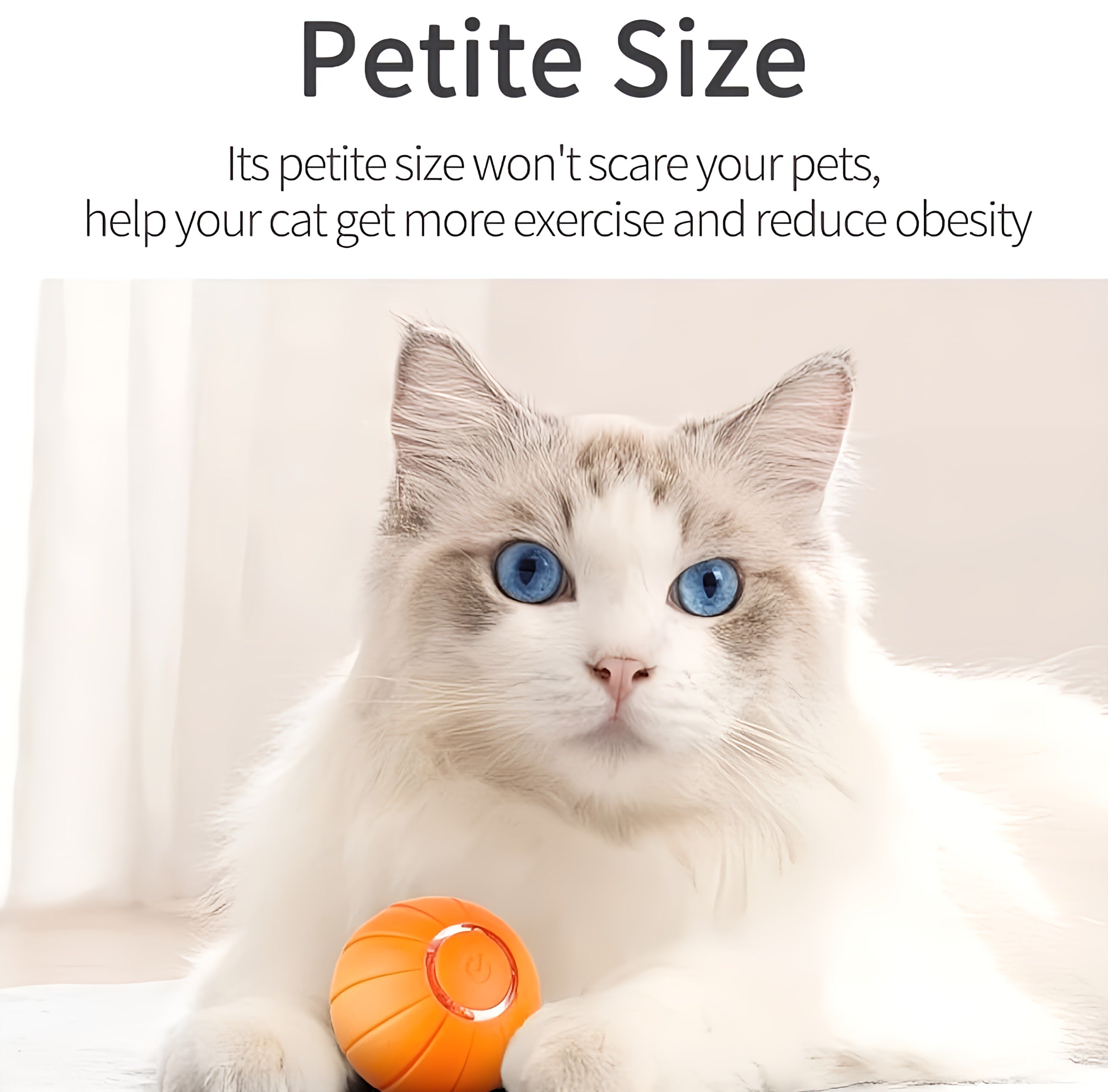 Interactive Cat Ball