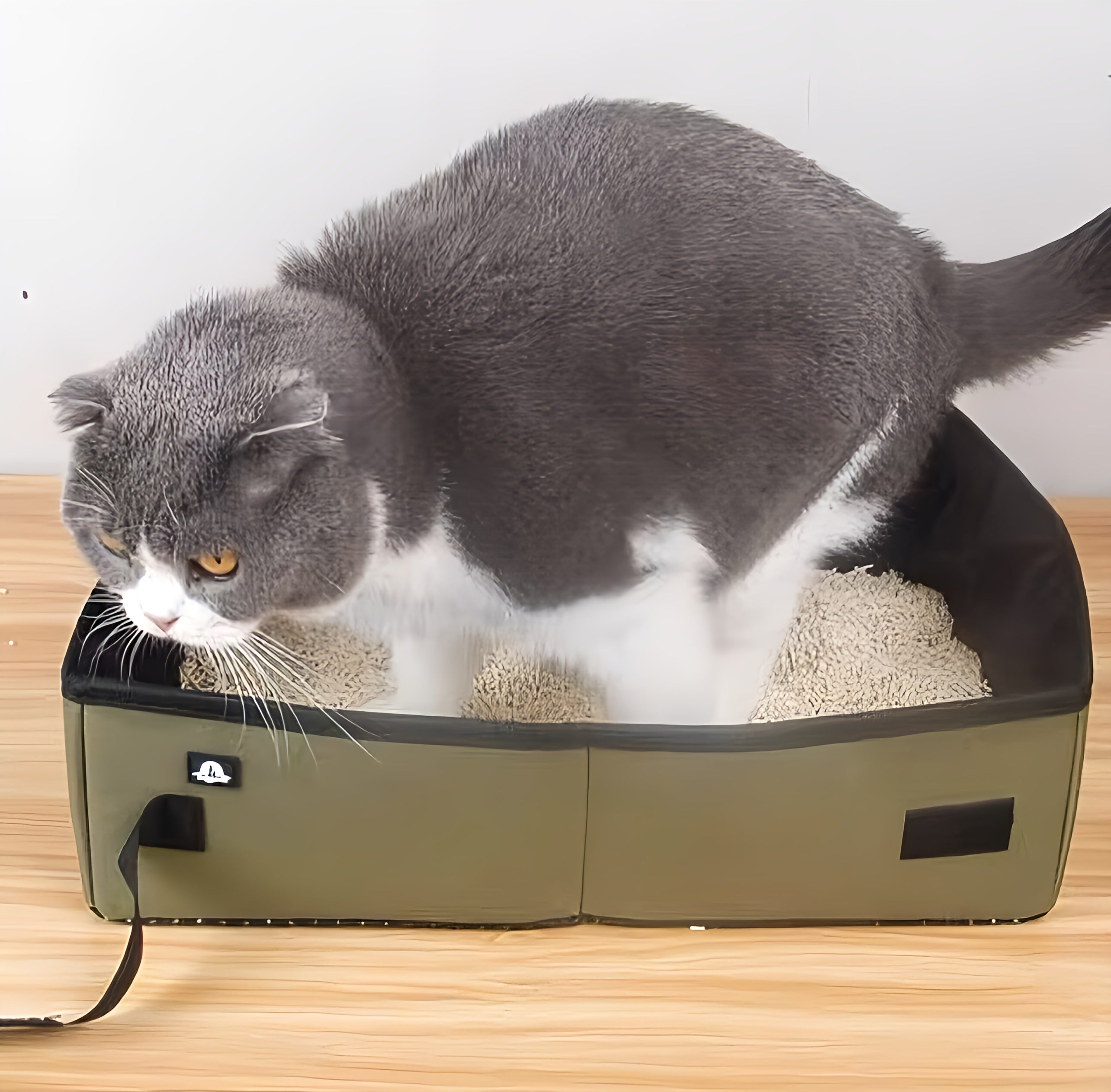 Litter Box