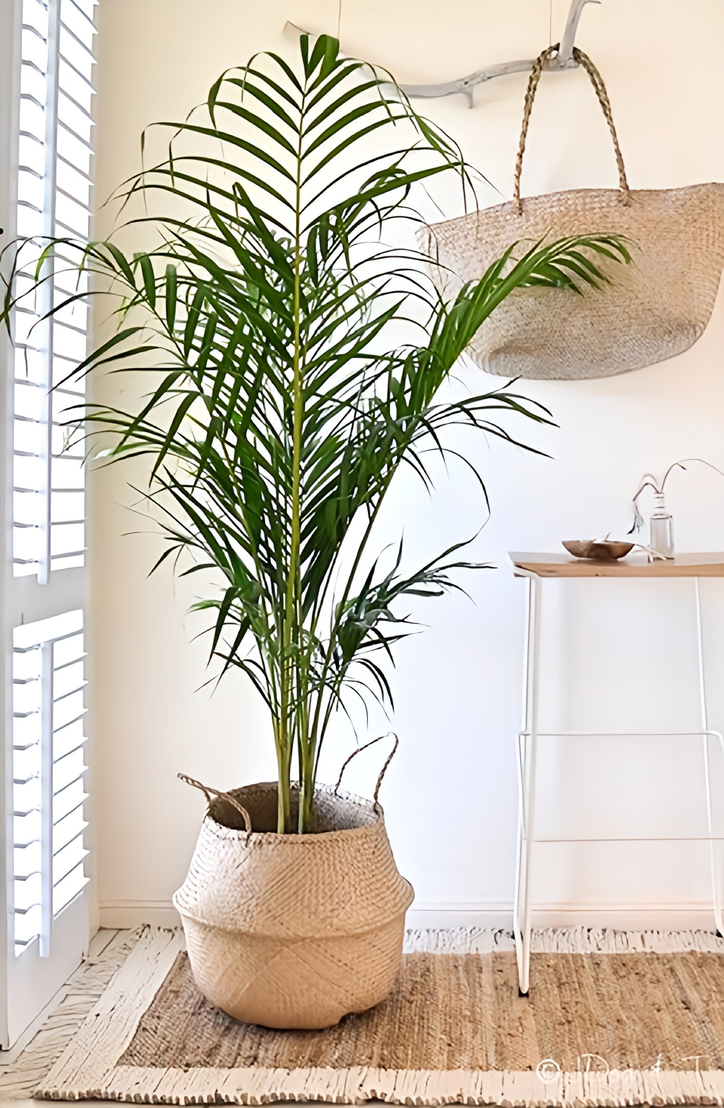 Foldable Basket