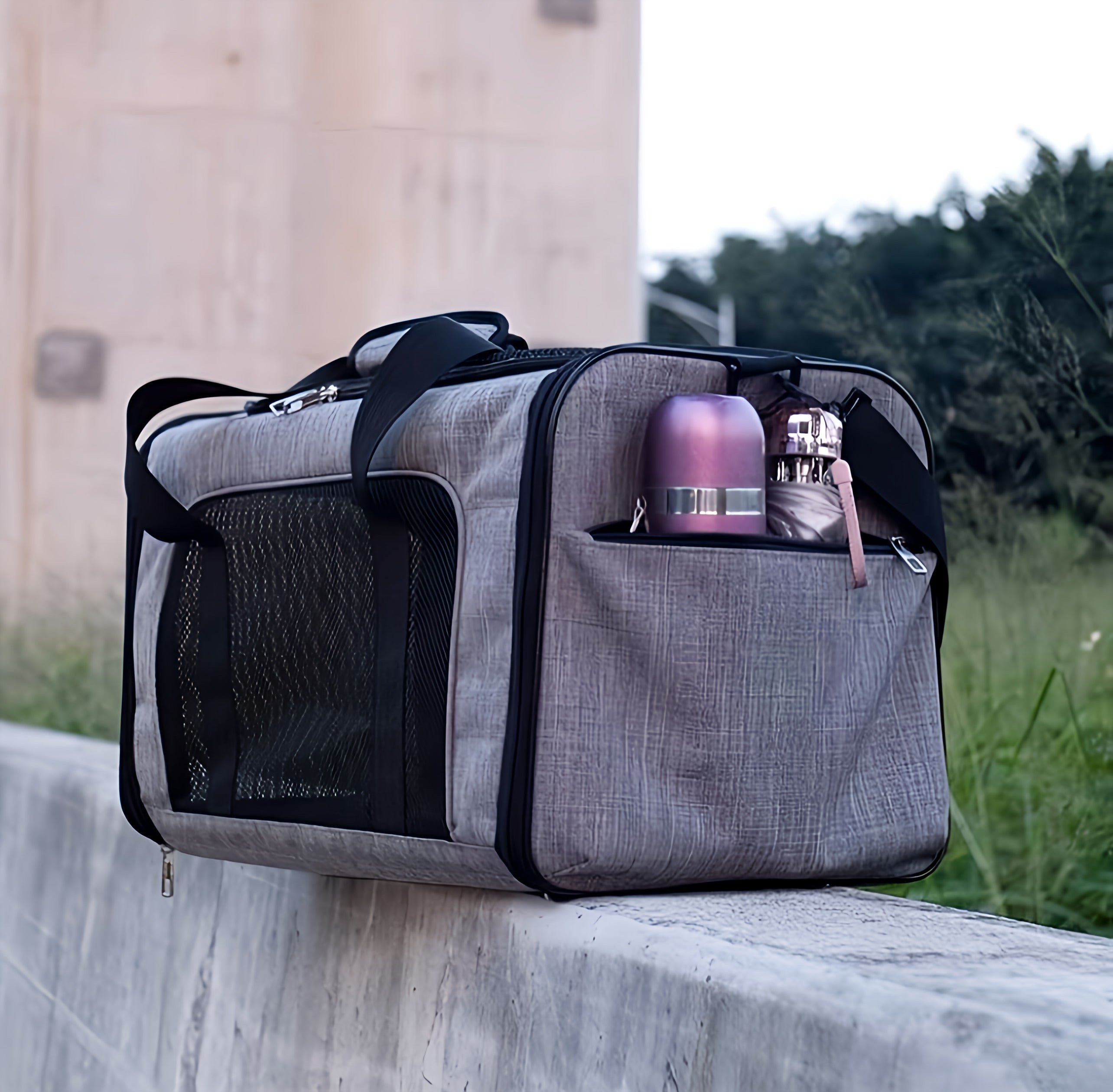 Pet Travel Bag