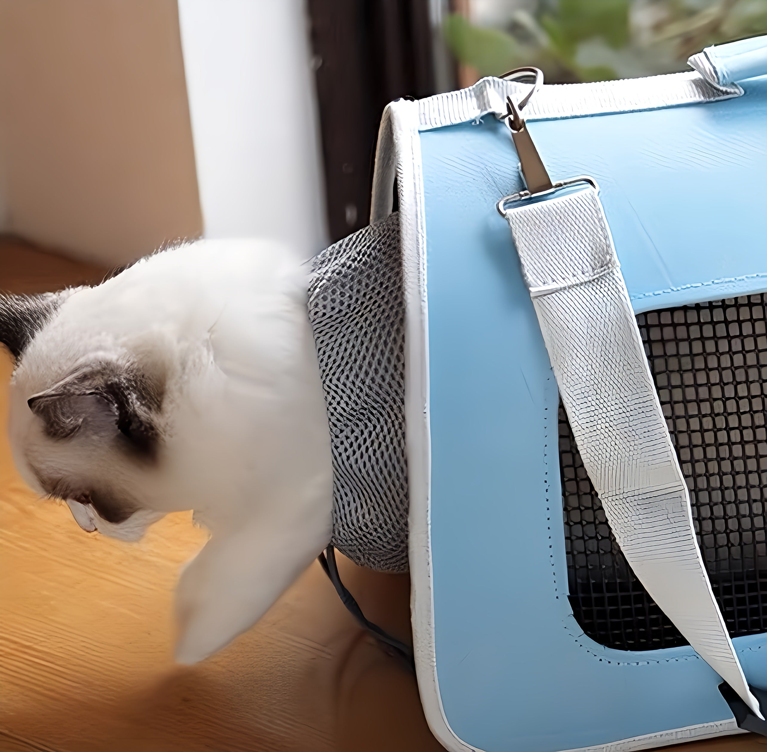 Cat Carrier bag
