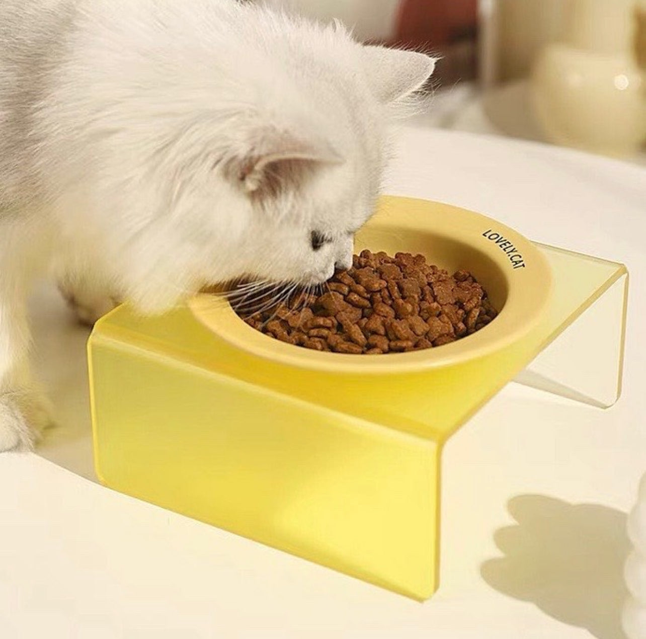 Acrylic Colored Feeding Bowl