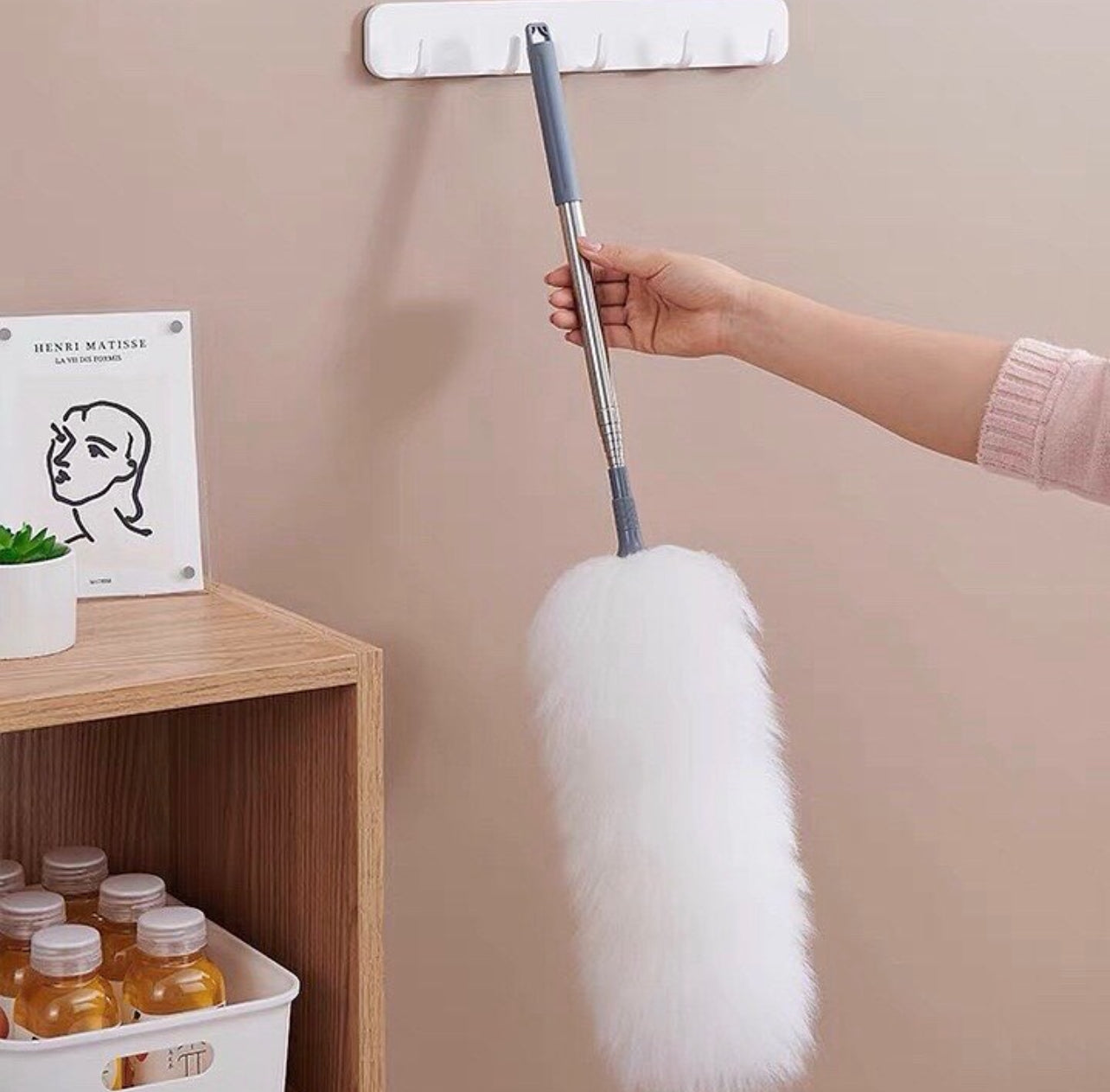 Ecoco Duster