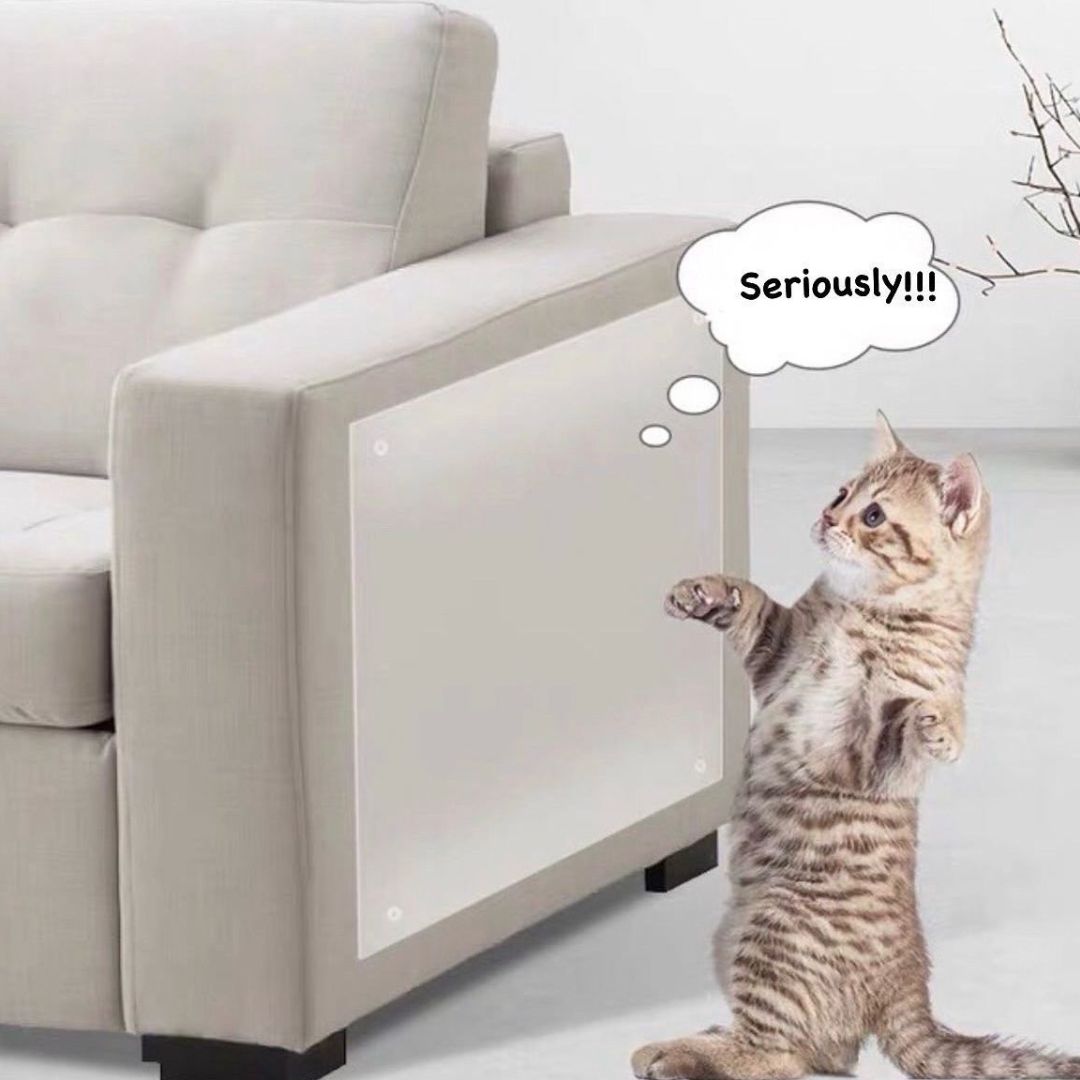 Scratching Guard Sticker