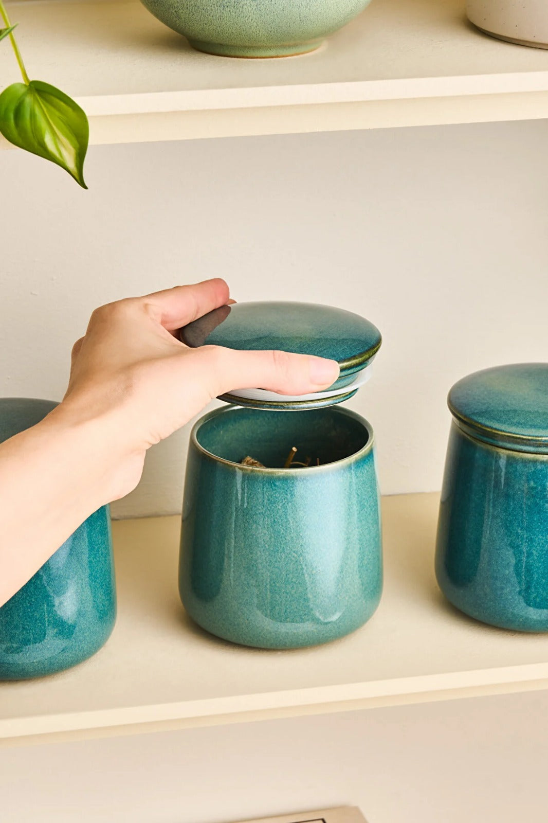 Spices Set With Lid