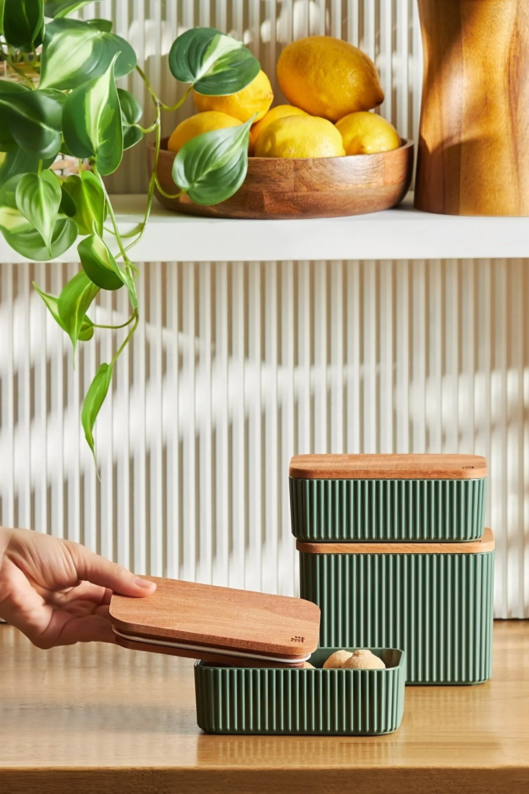 Container Set