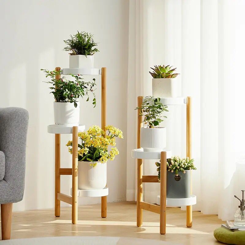 Bamboo Plants Stand