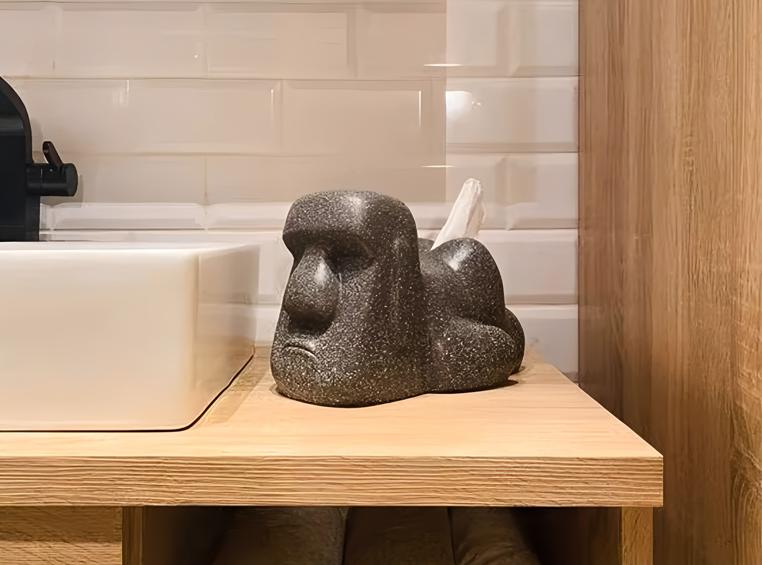 Schnoz Tissue Holder