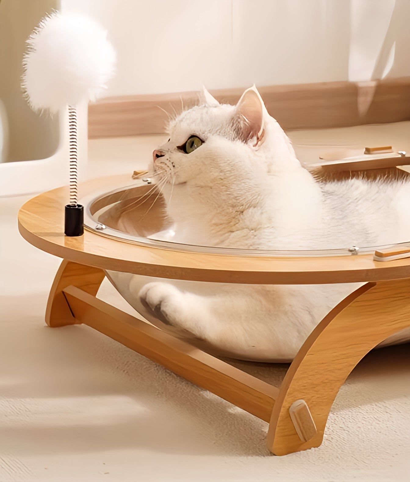 Four Seasons Cats Bed