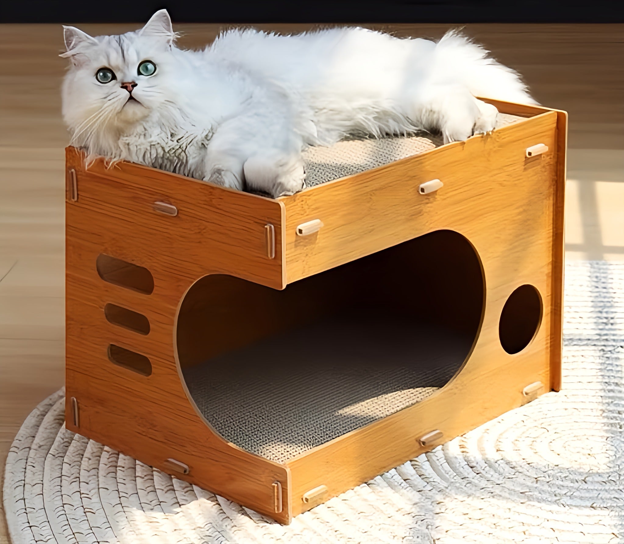 Cat’s Scratching House