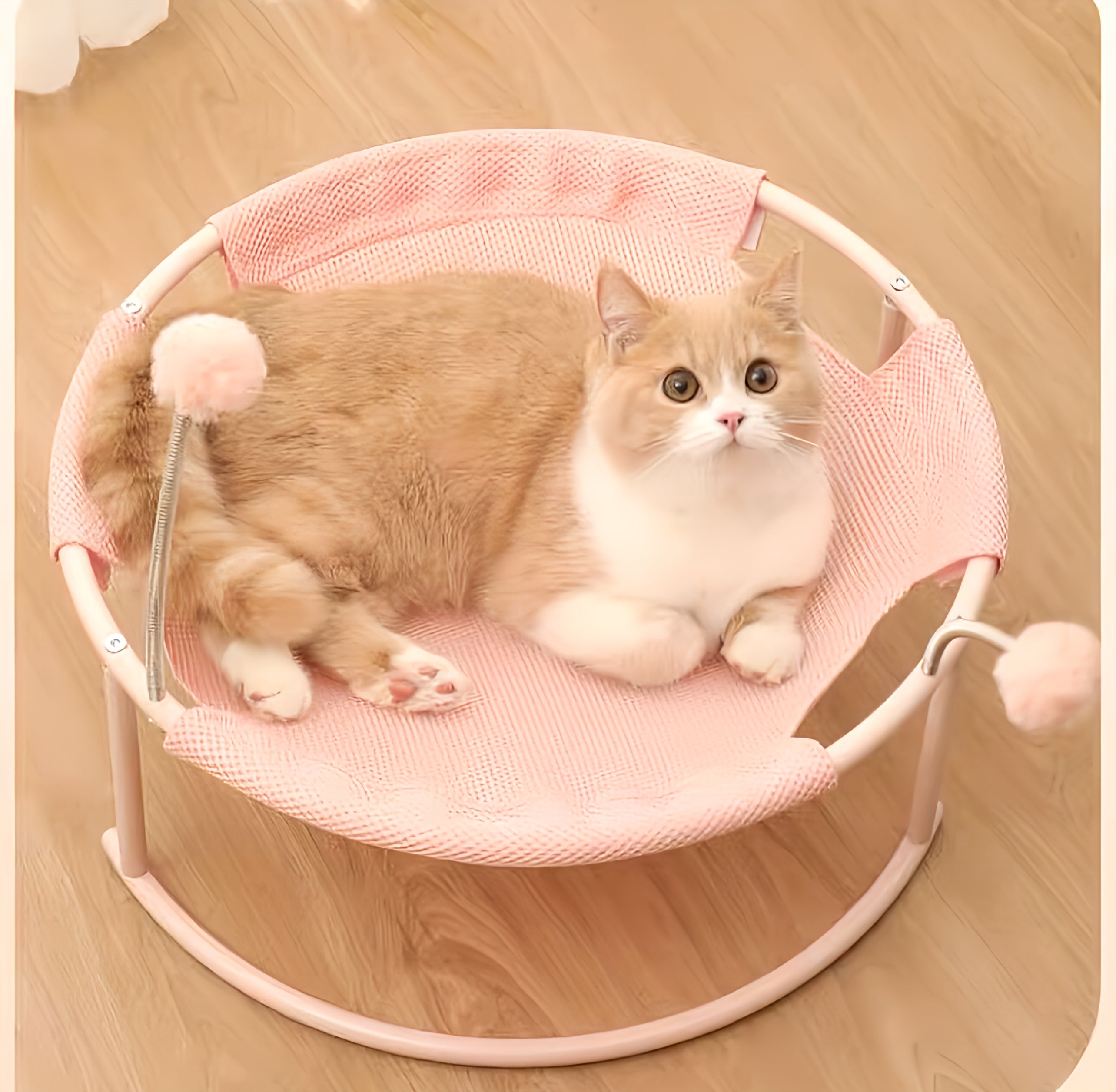 Cat Bed With Toy