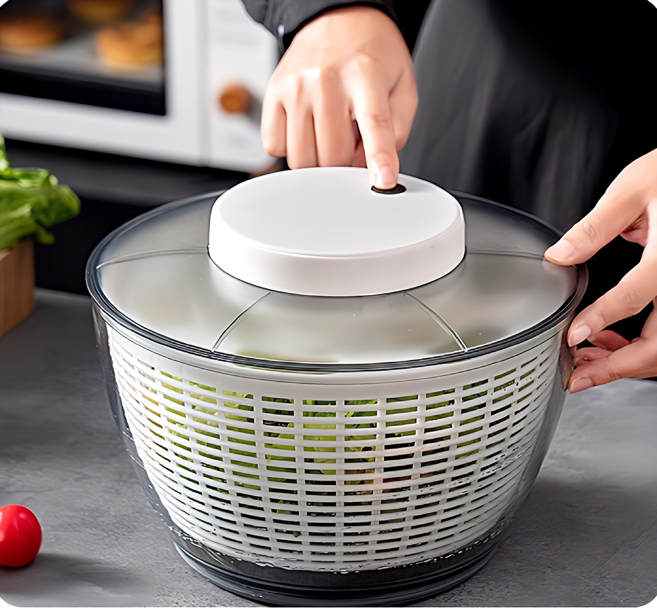 Automatic Fruit and Vegetable Dehydrator