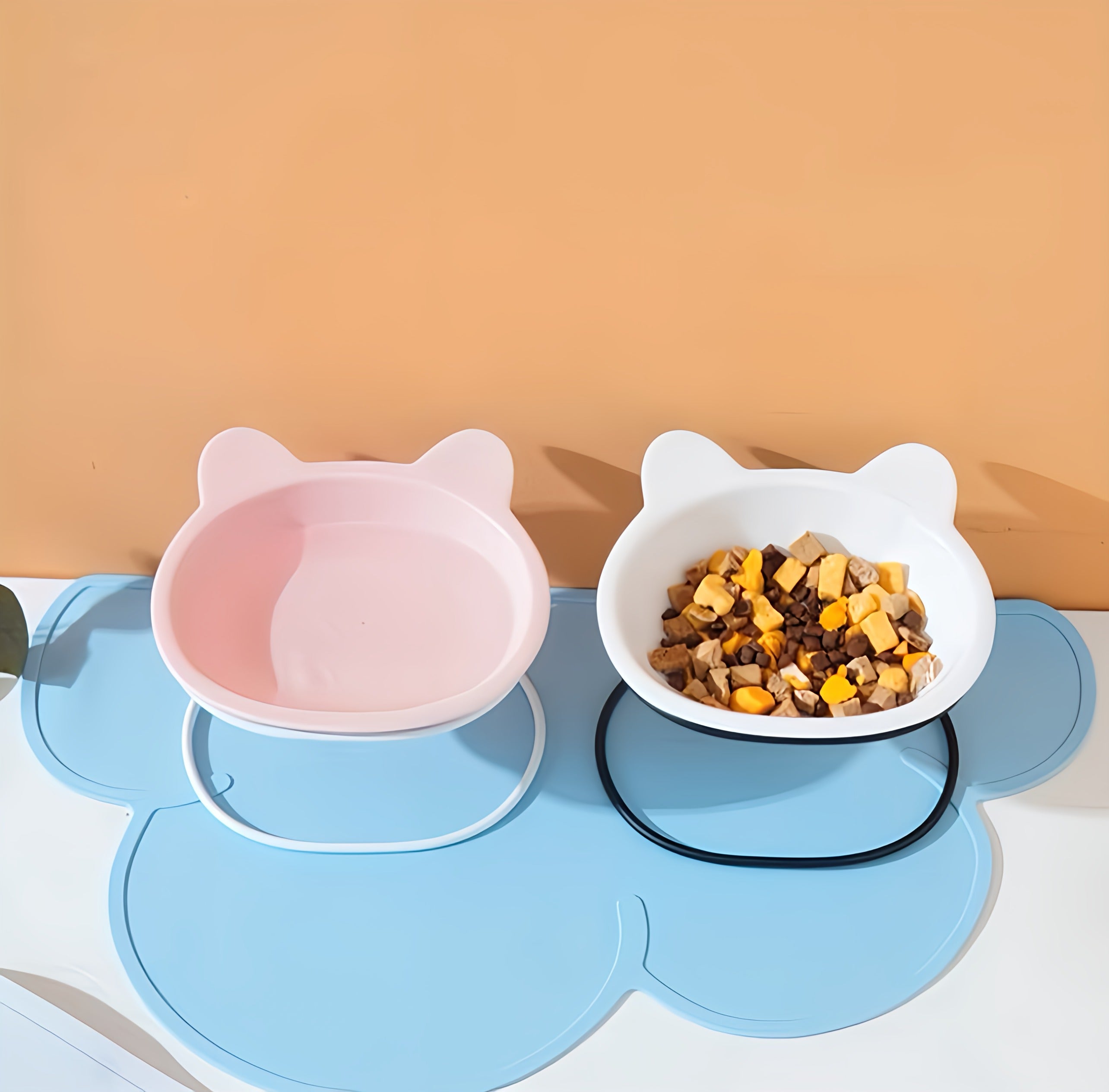 Cat Feeding Bowl