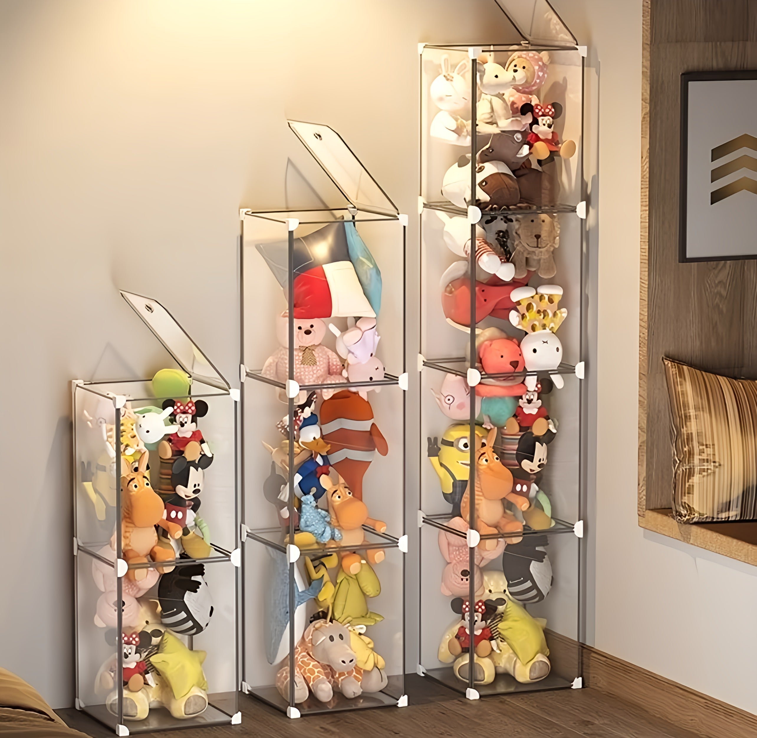 Transparent Storage Box