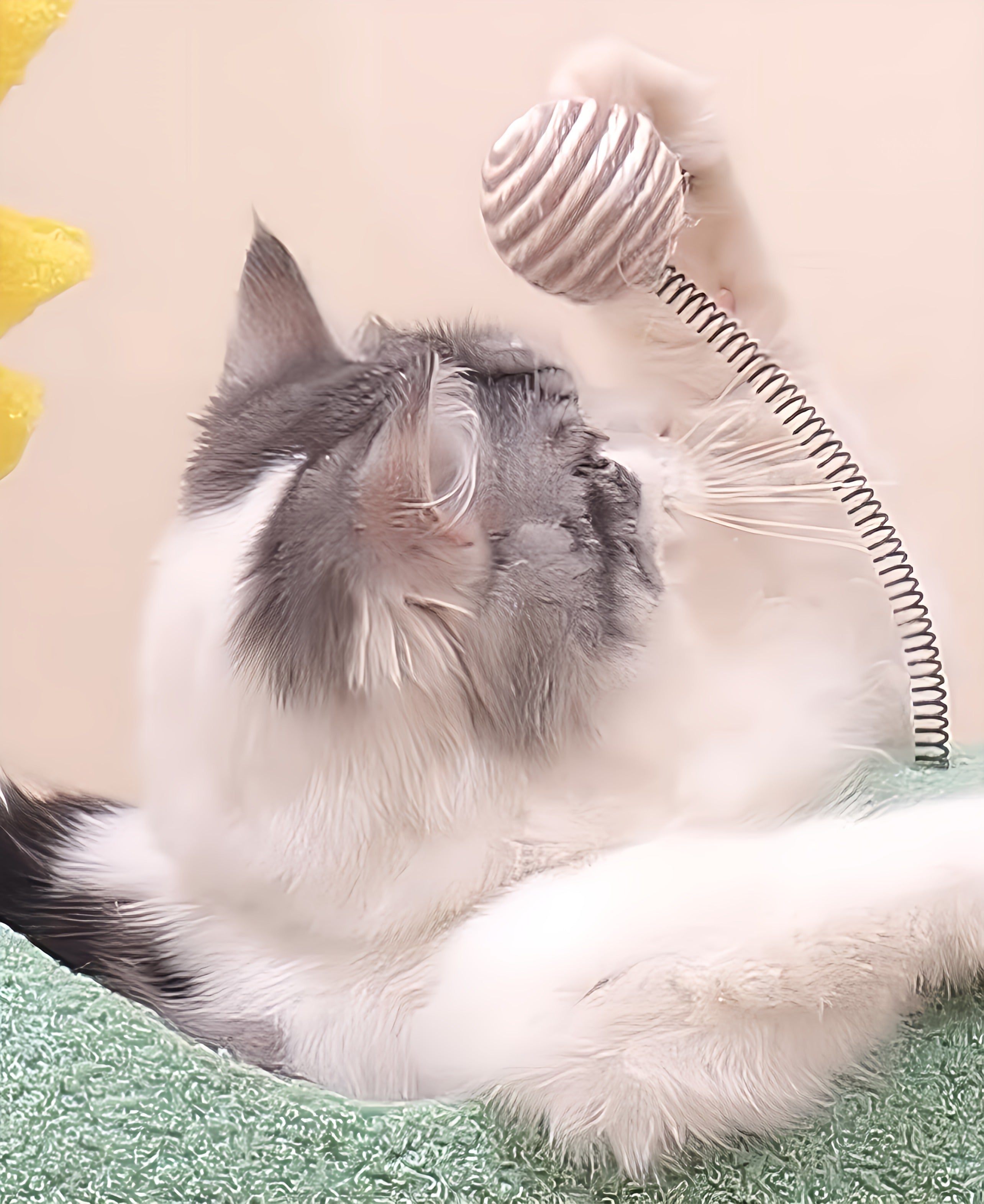 Cat Climbing Tree House