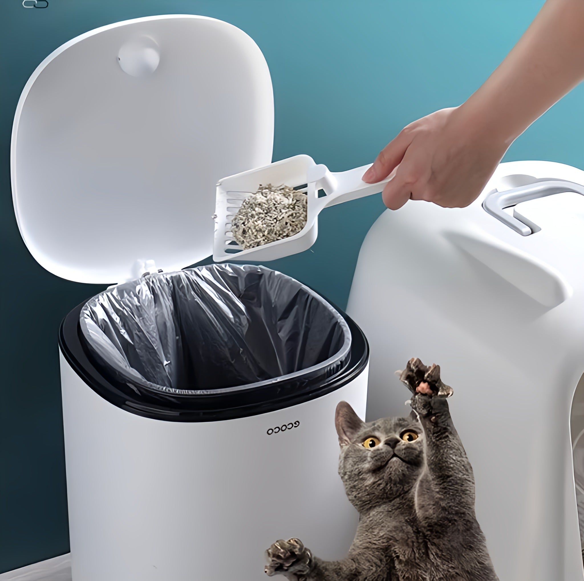 Ecoco Trash Can