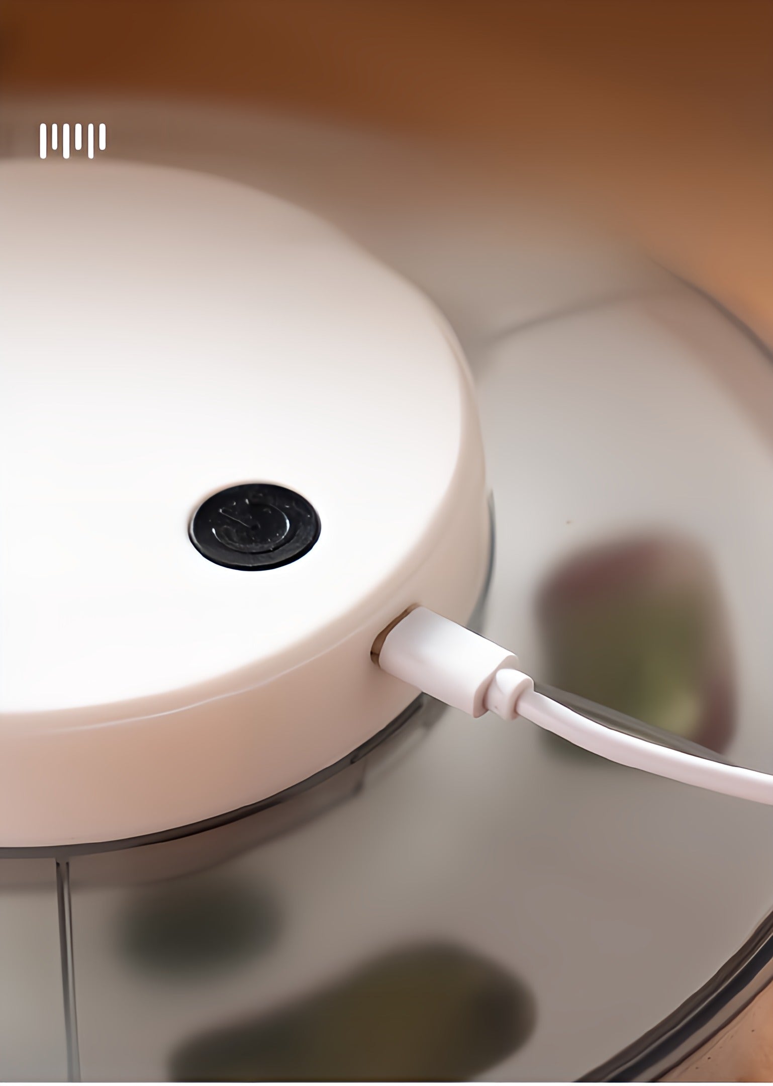 Automatic Fruit and Vegetable Dehydrator
