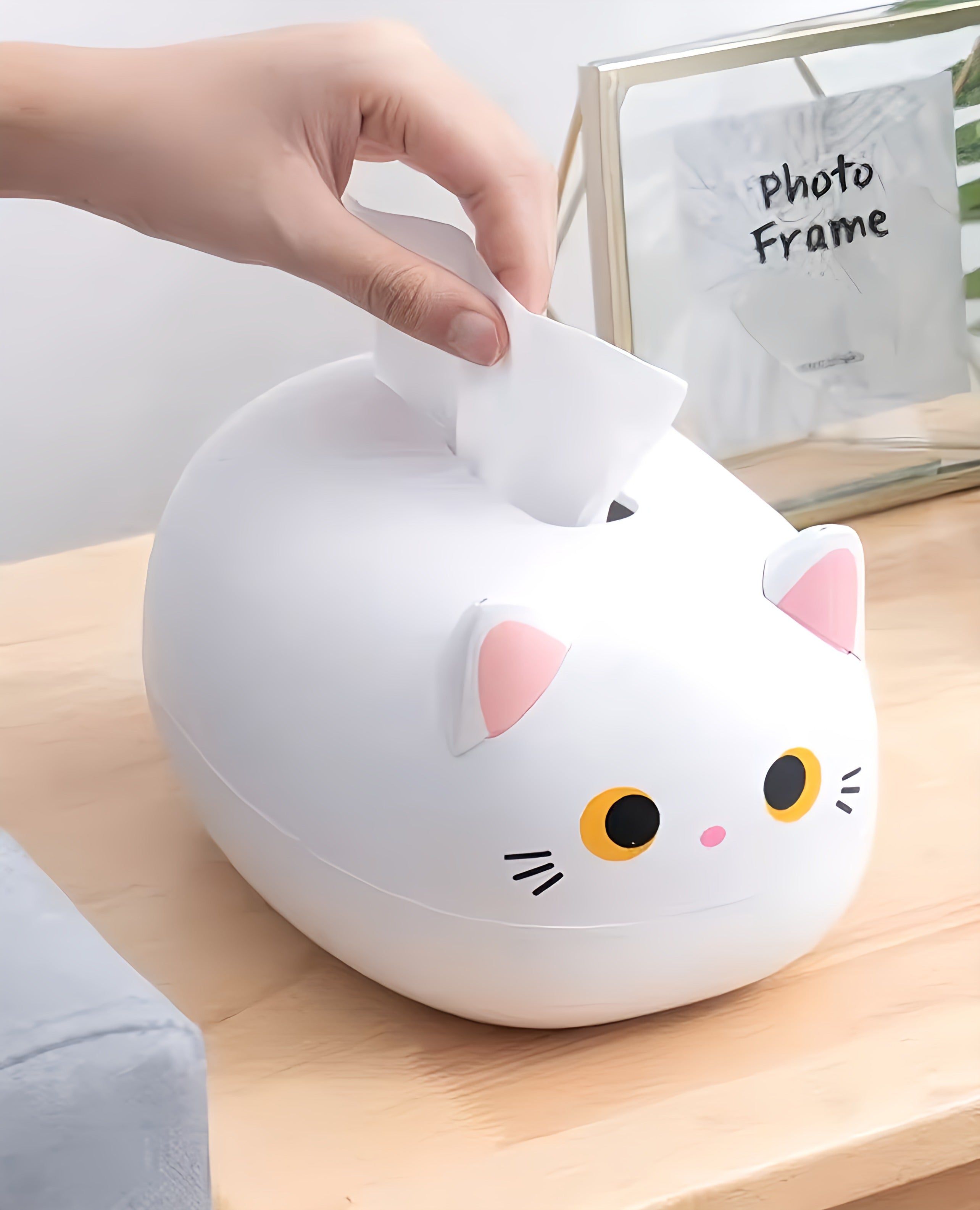 Cat Tissue Holder