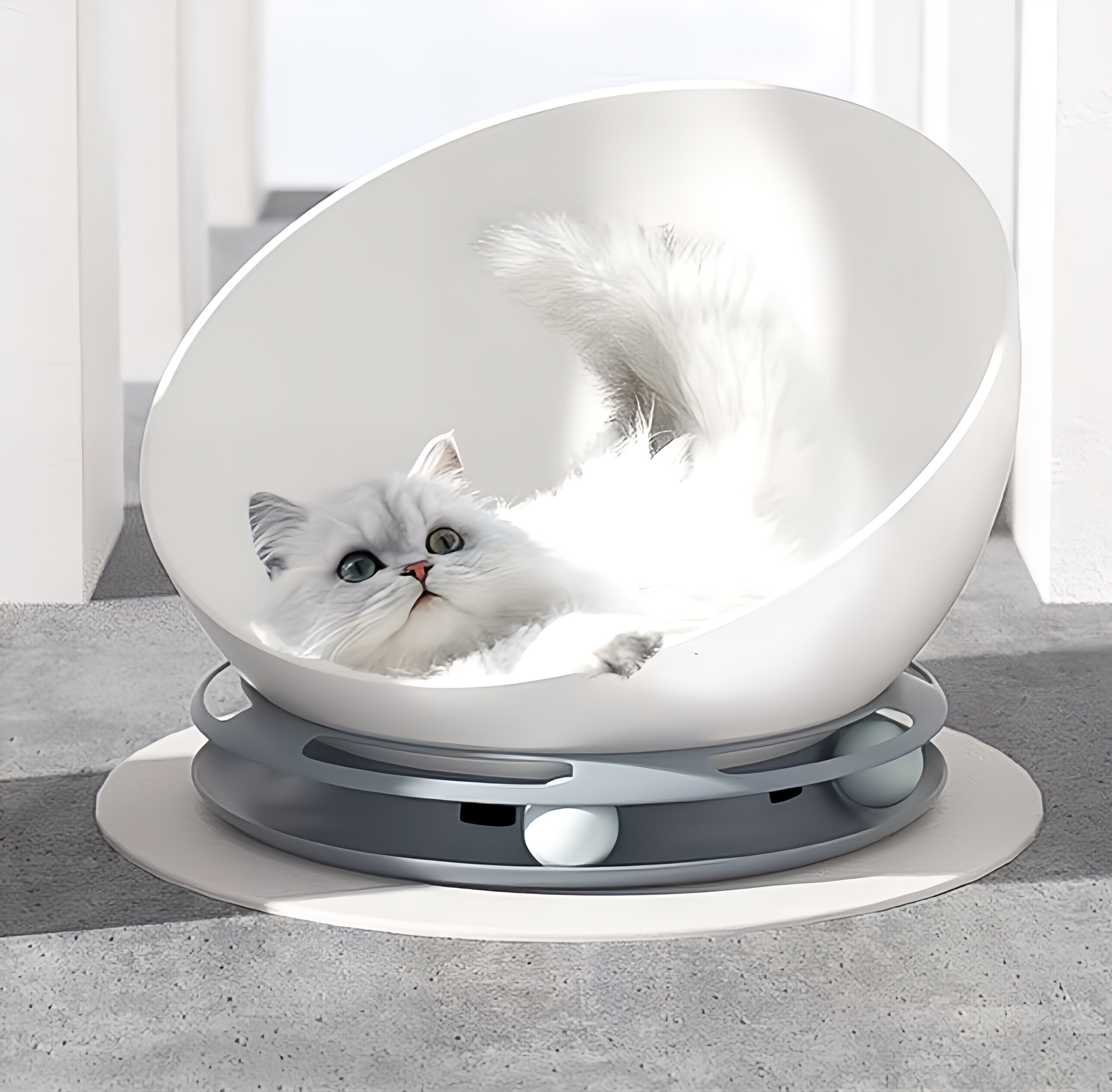 Cat Bed with Ball Game