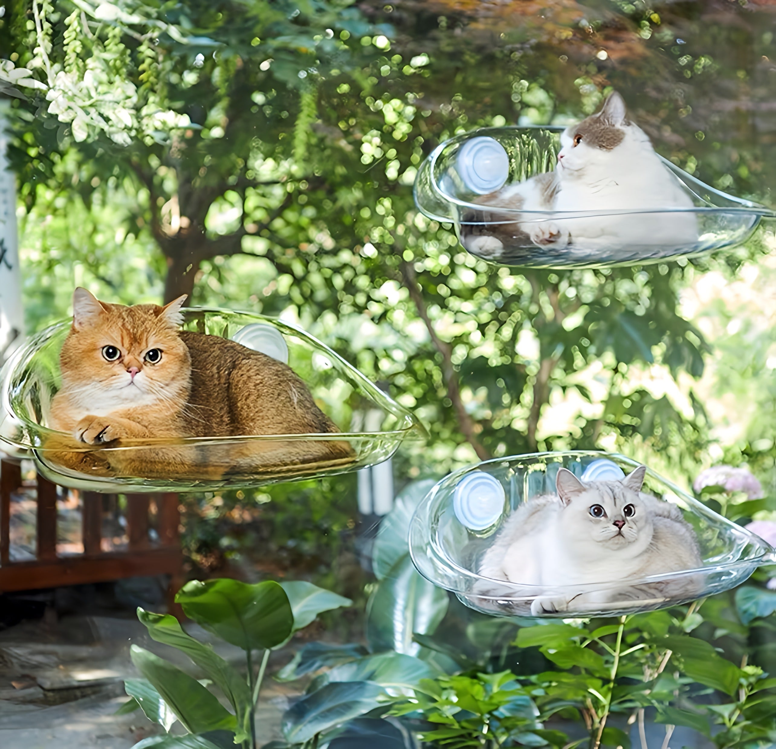 Cat Hammock